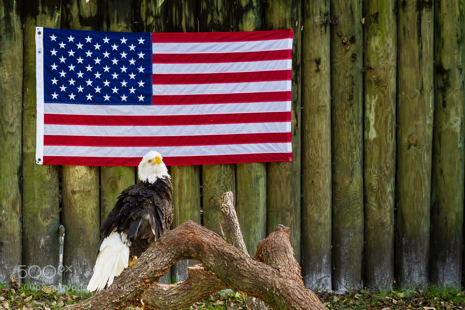 Canon EOS 7D sample photo. Independenceday px photography