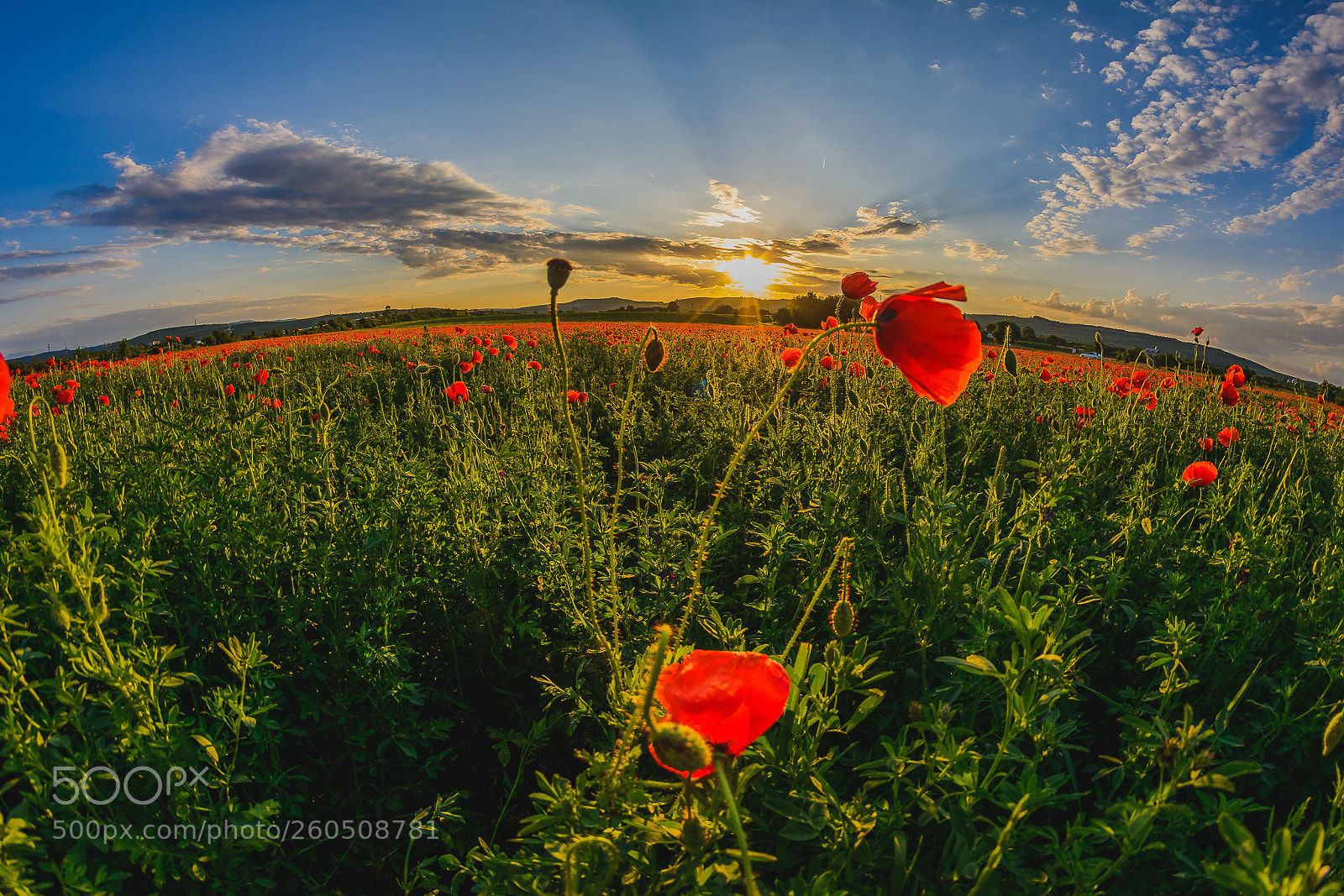 Nikon D7100 sample photo. Sunset photography