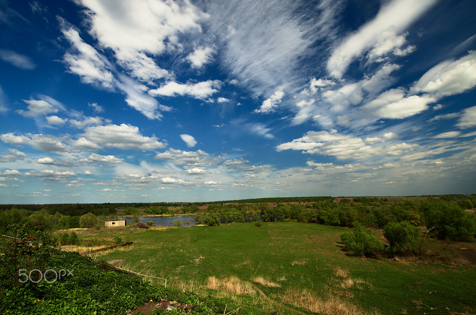 Nikon D7000 sample photo. Temgenevo day photography