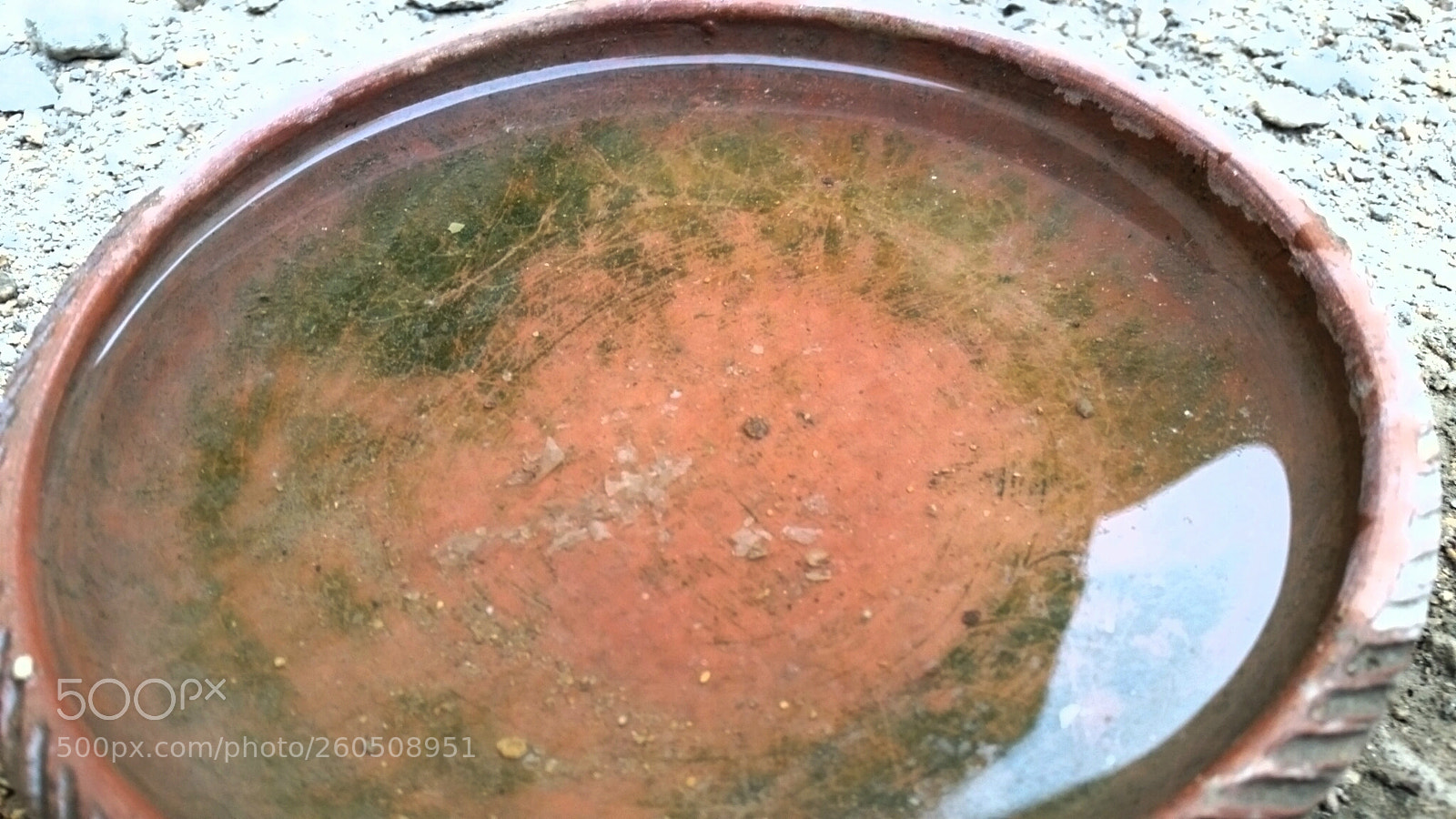 Samsung Galaxy S5 sample photo. Water bowl photography