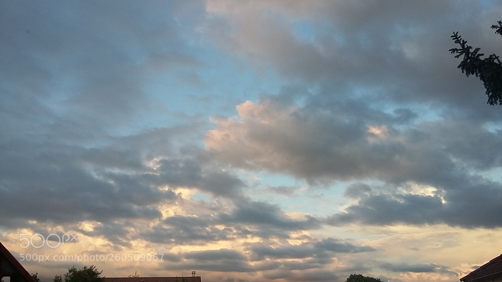 Samsung Galaxy Grand Prime sample photo. Untitled photography