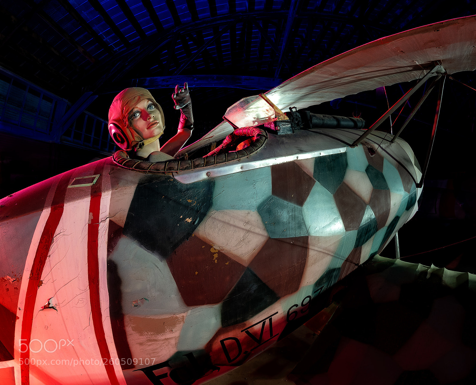 Nikon D750 sample photo. Red baroness photography