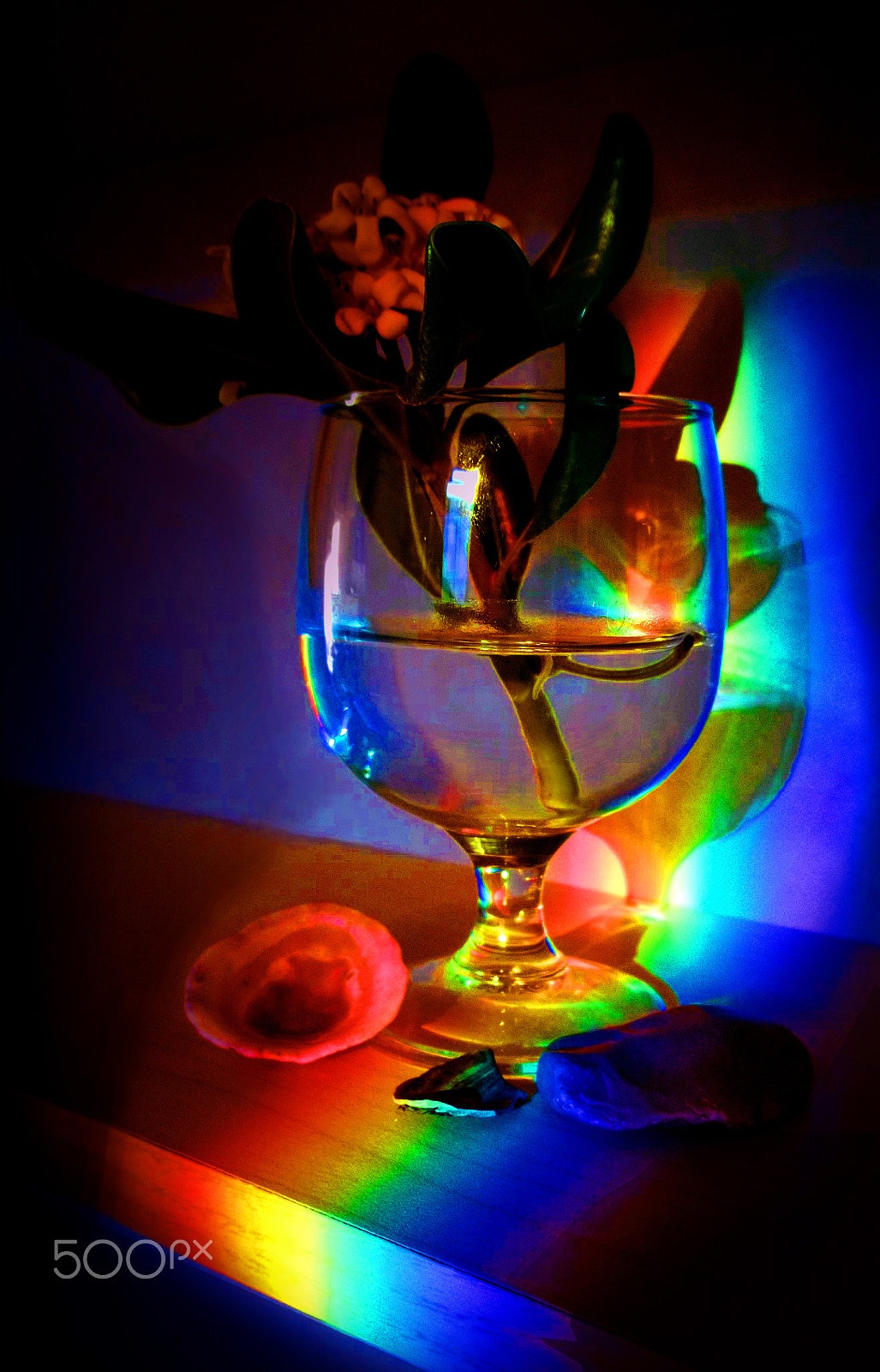 Kodak EASYSHARE C195 DIGITAL CAMERA sample photo. Rainbow still life photography