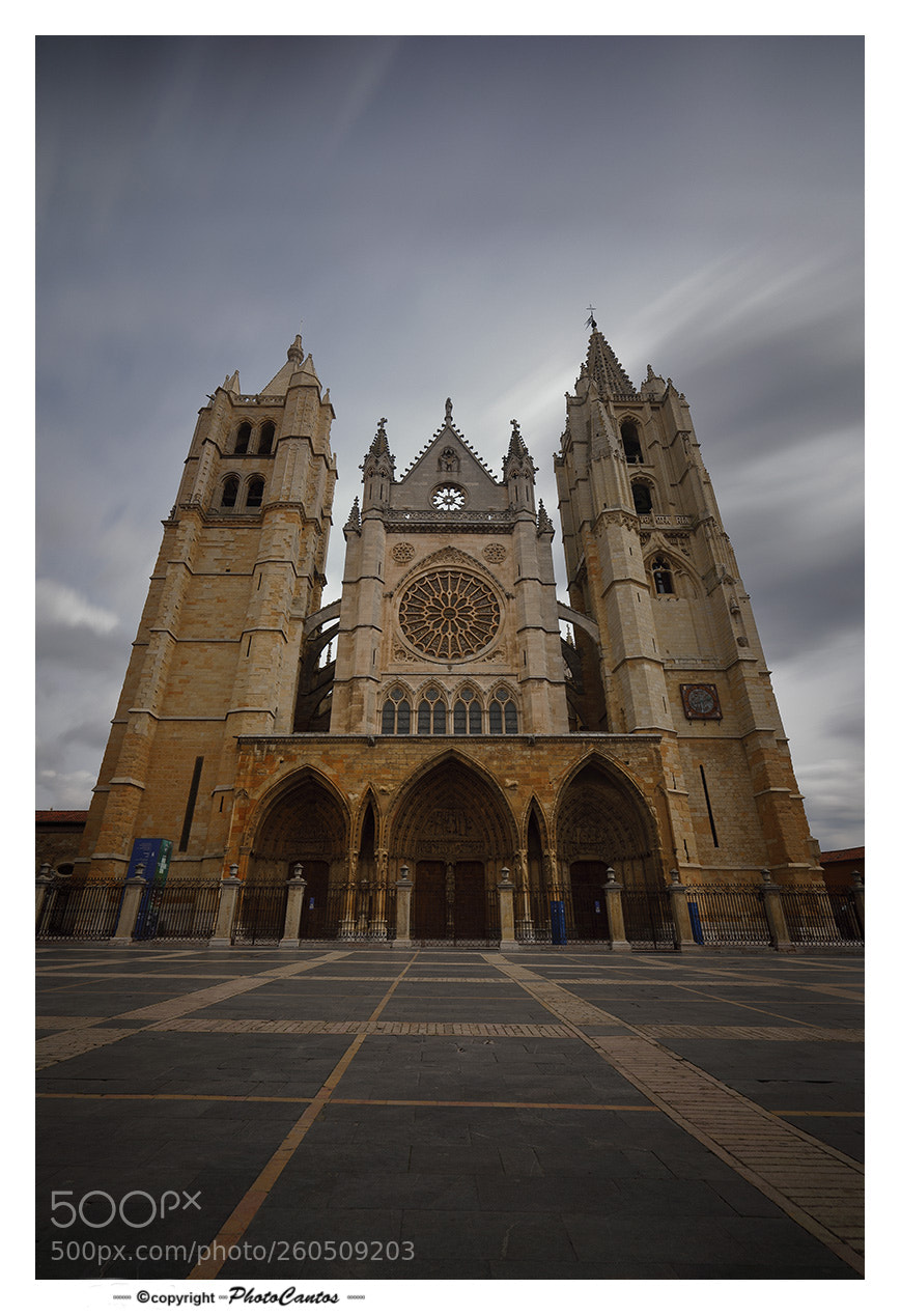 Canon EOS 5D Mark IV sample photo. Catedral de león photography