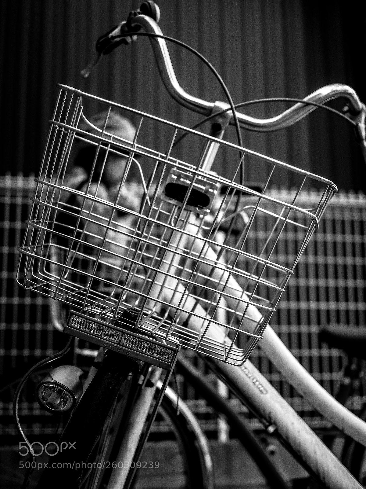 Olympus OM-D E-M5 sample photo. Untitled photography