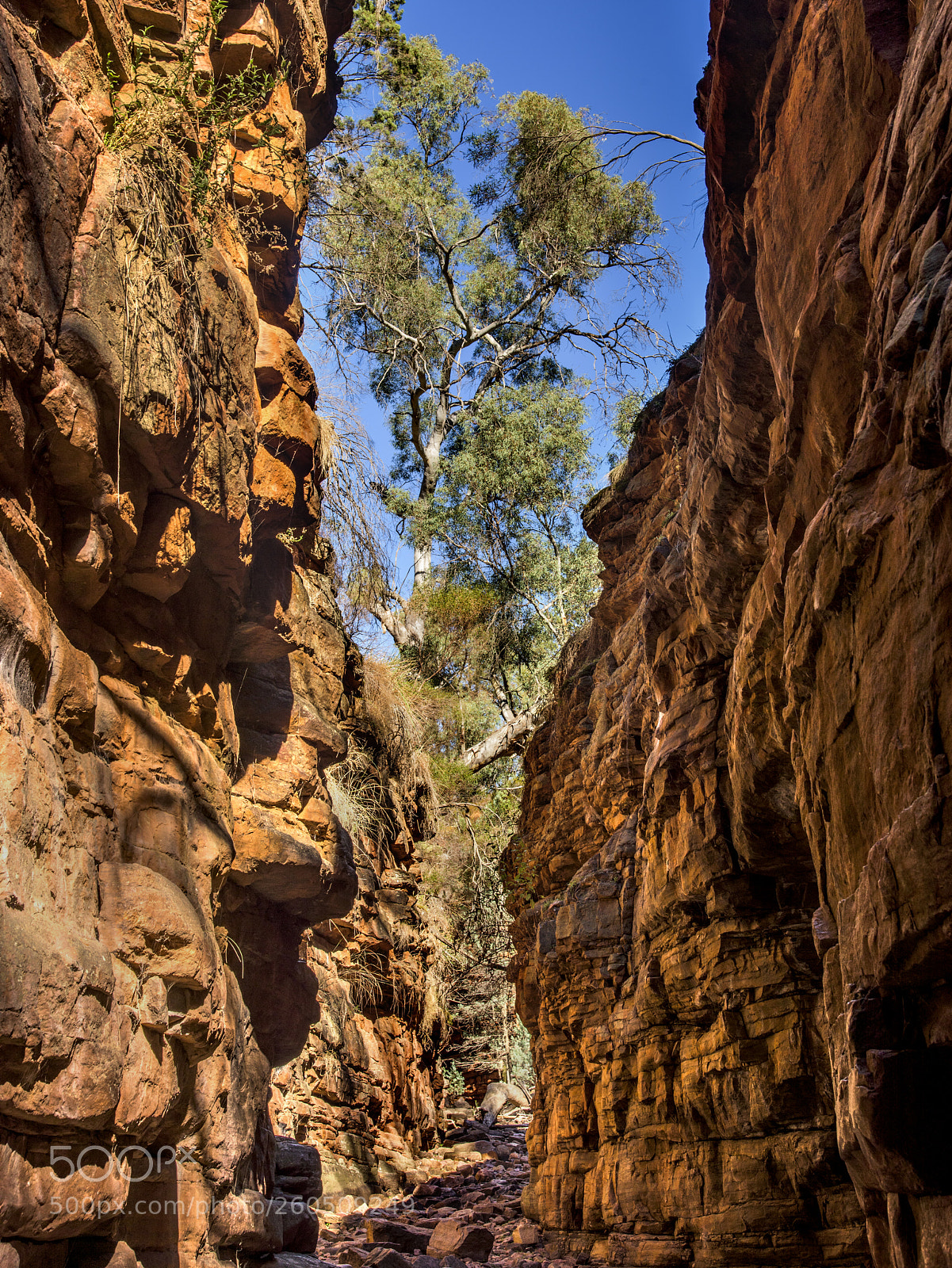 Nikon D810 sample photo. Alligator gorge,south austraia photography