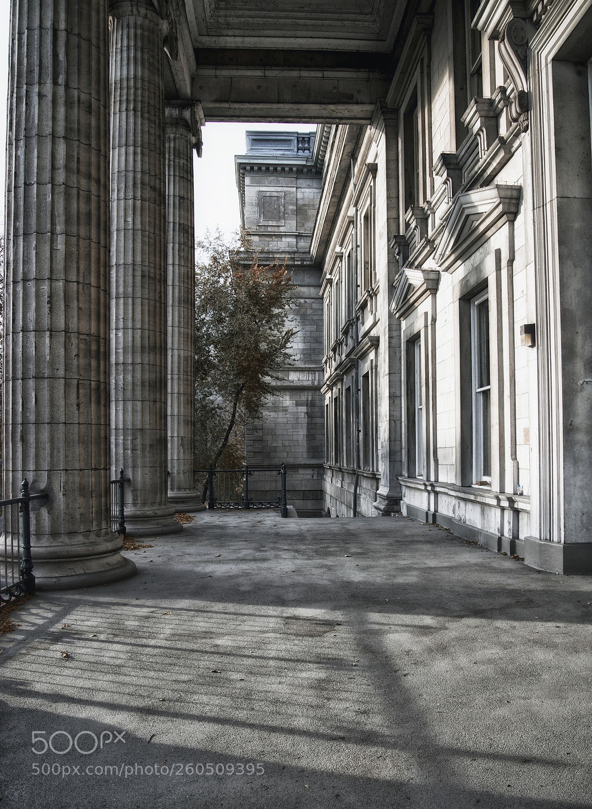 Nikon D600 sample photo. Montreal photography