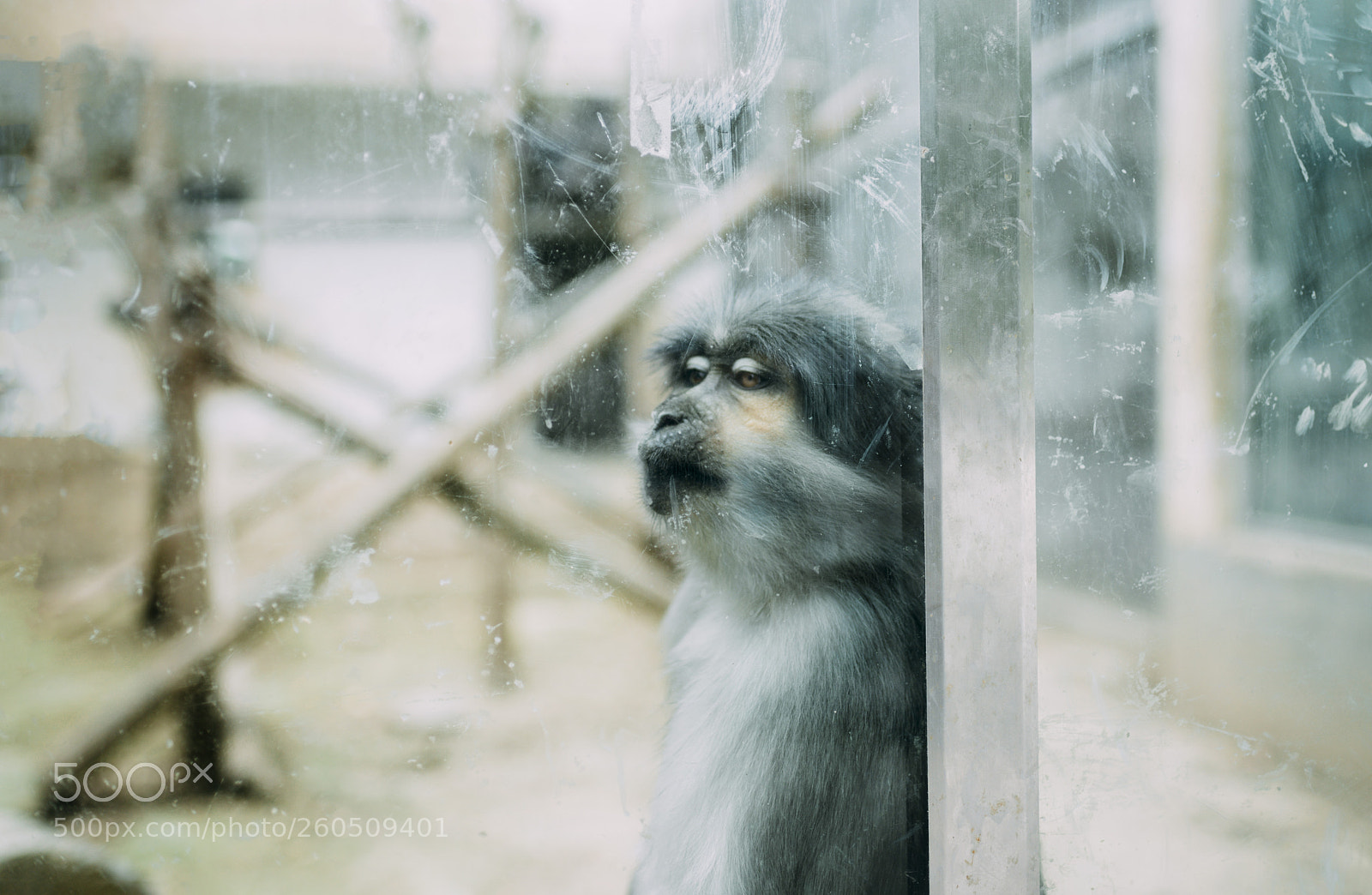 Nikon D610 sample photo. Untitled photography