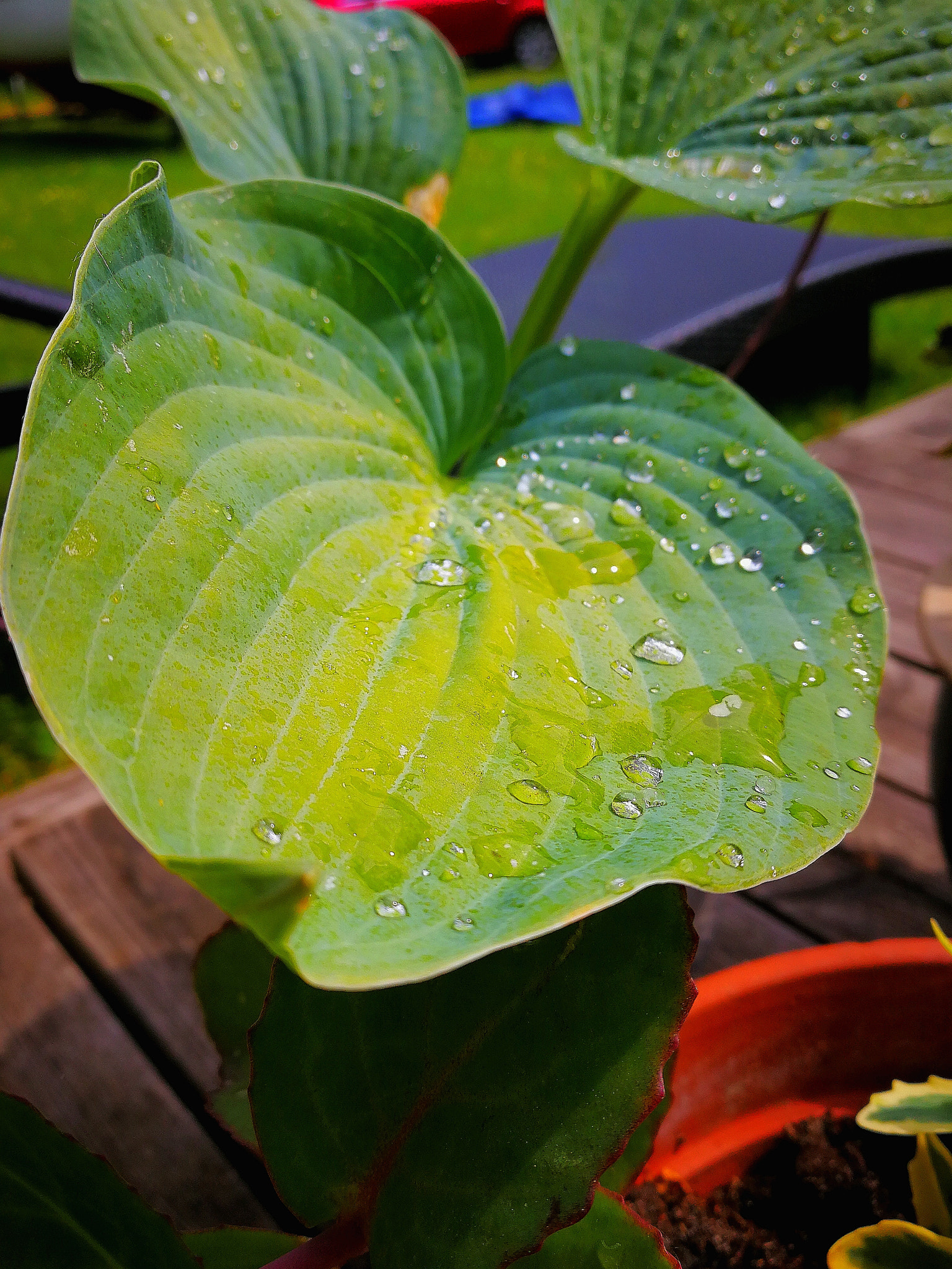 HUAWEI Mate 9 Pro sample photo