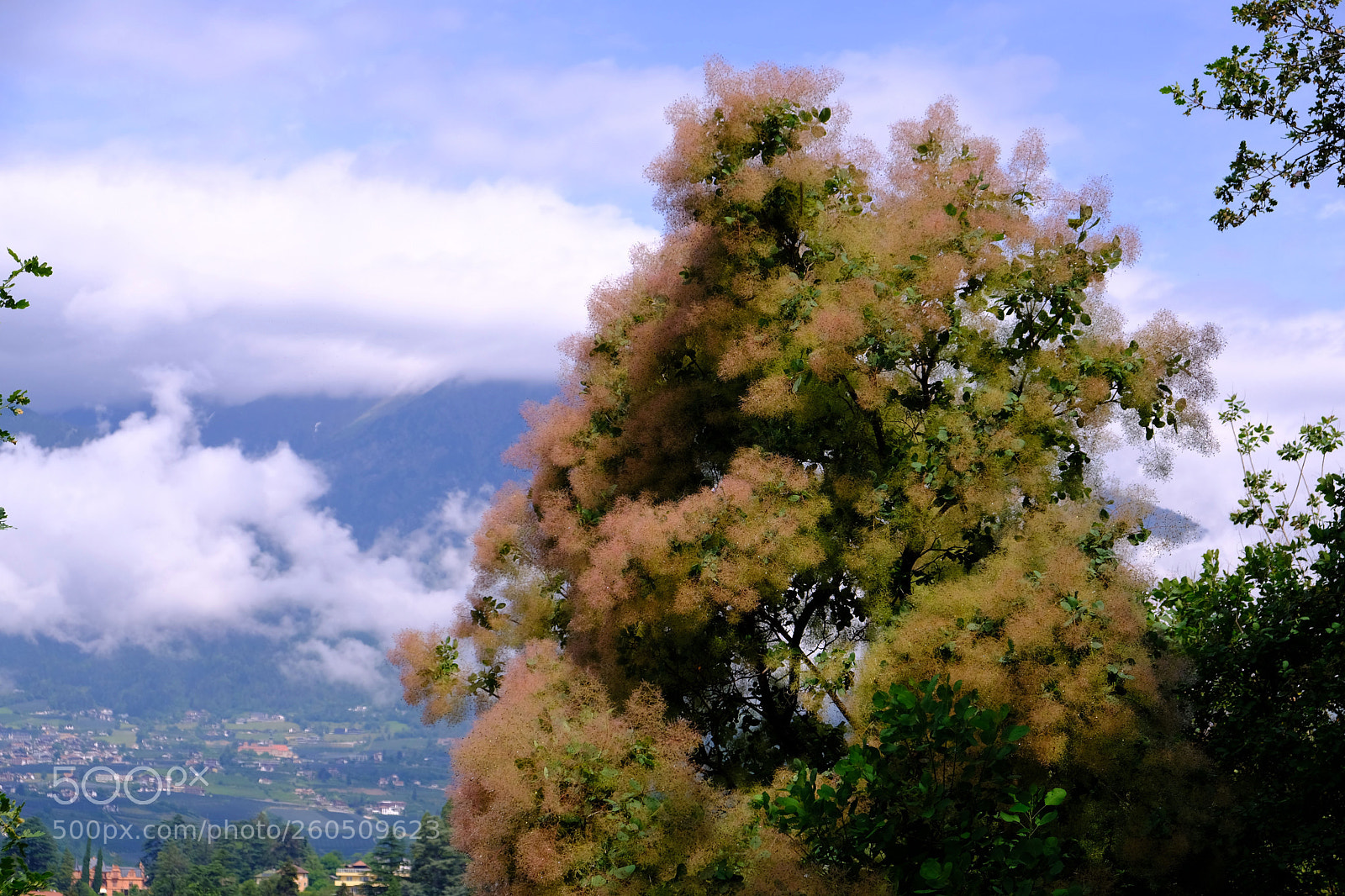 Fujifilm X-T20 sample photo. Art of nature photography