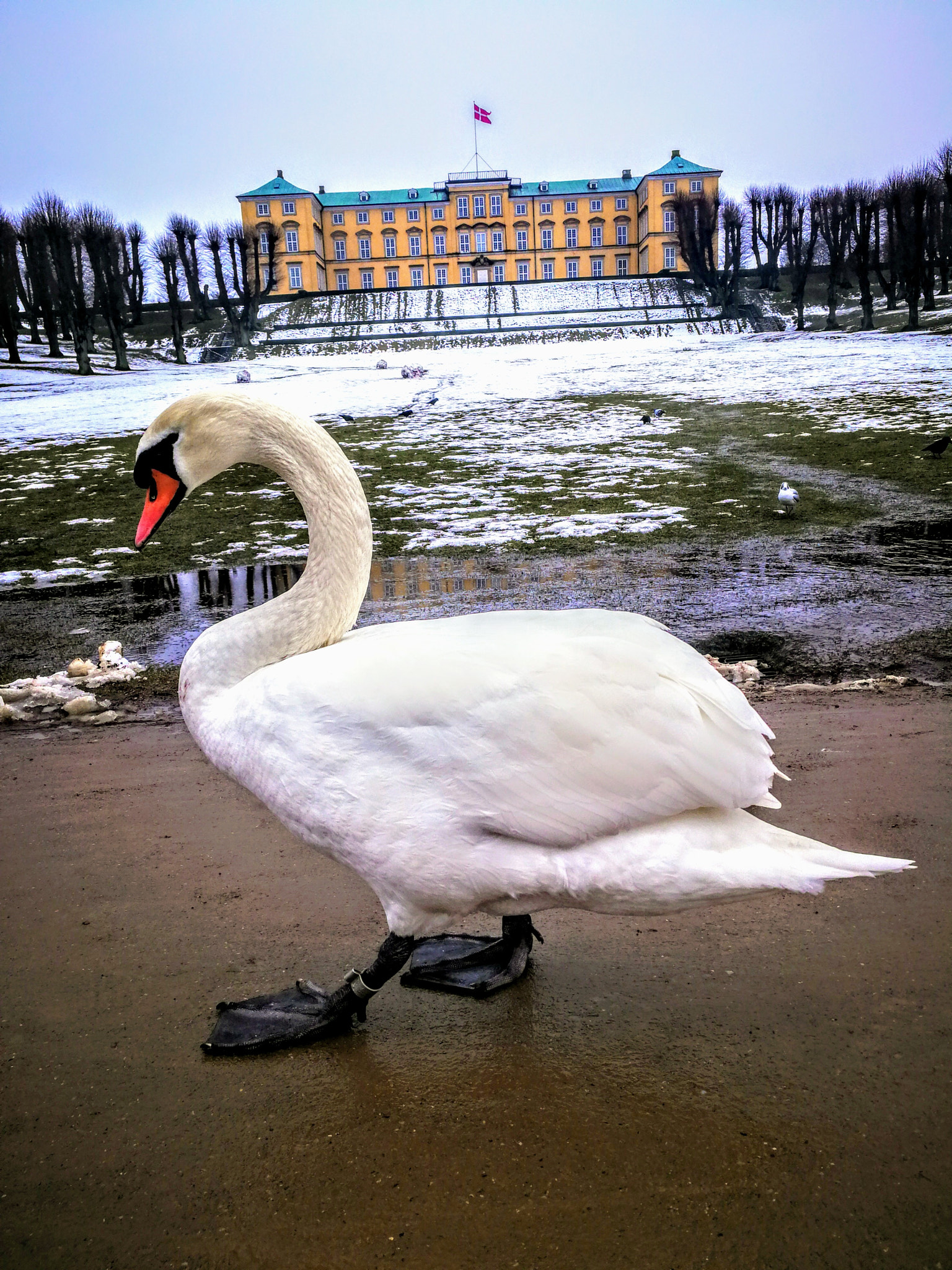 HUAWEI Mate 9 Pro sample photo