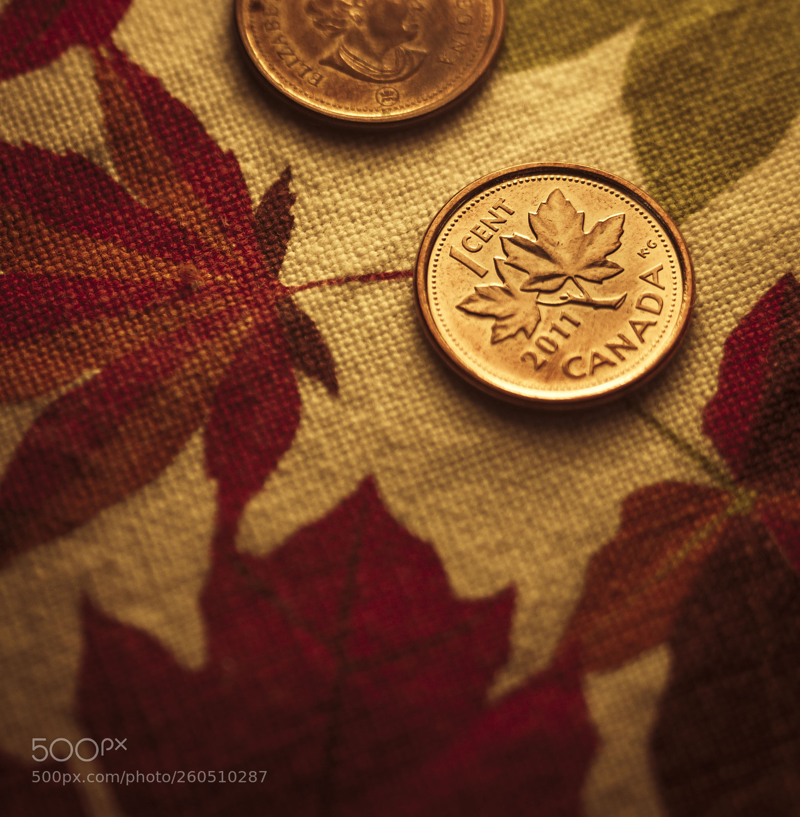 Canon EOS 7D sample photo. Canadian cent coins over photography