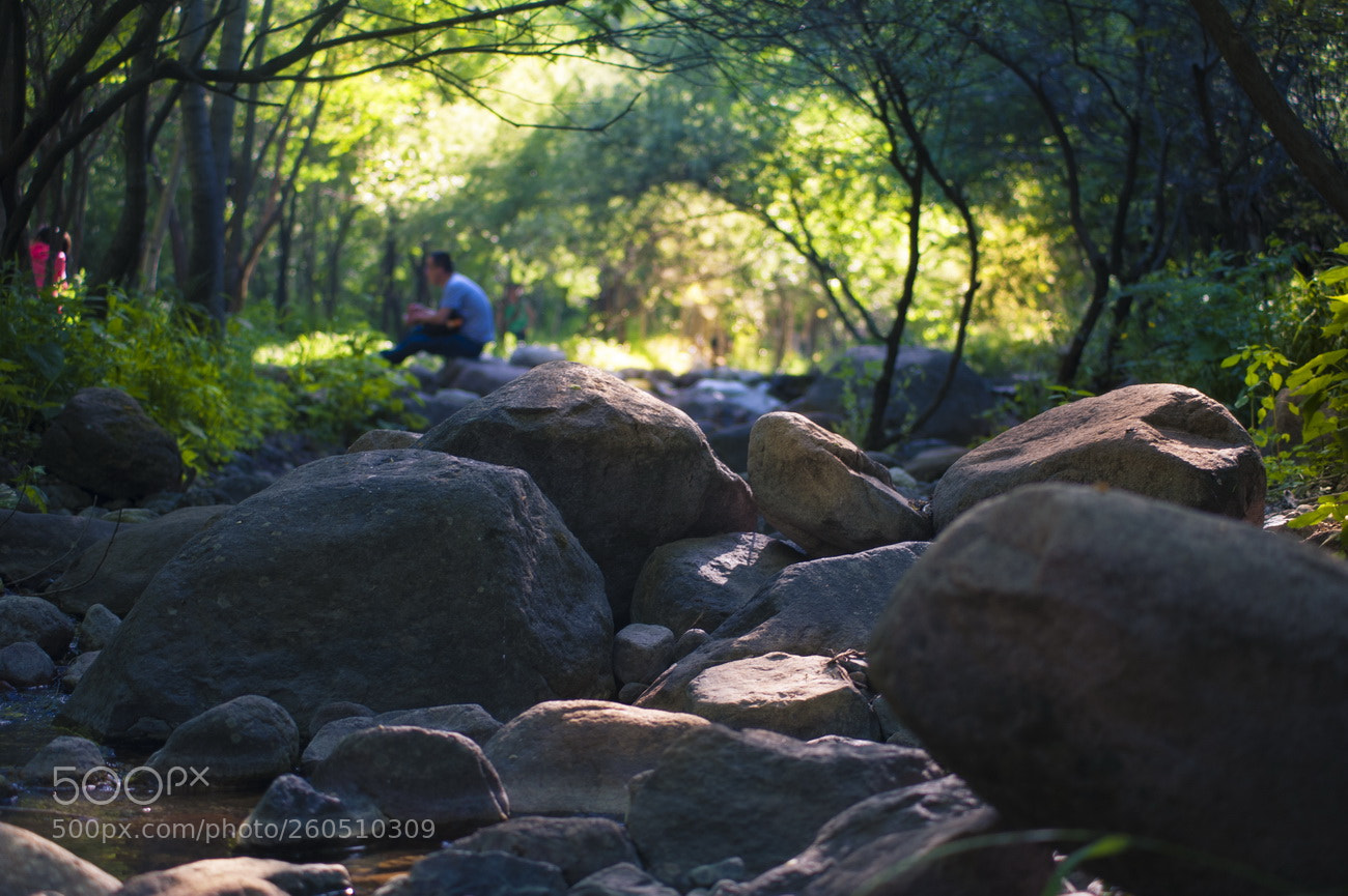 Nikon D700 sample photo. Resize photography