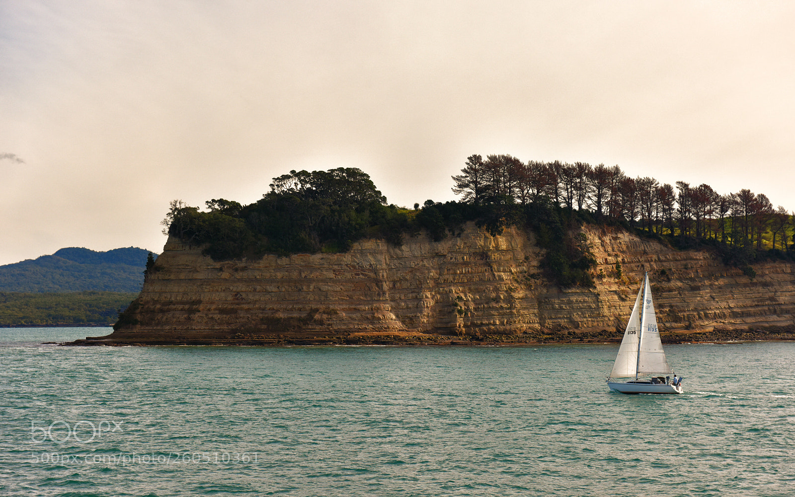 Nikon D810 sample photo. A photography