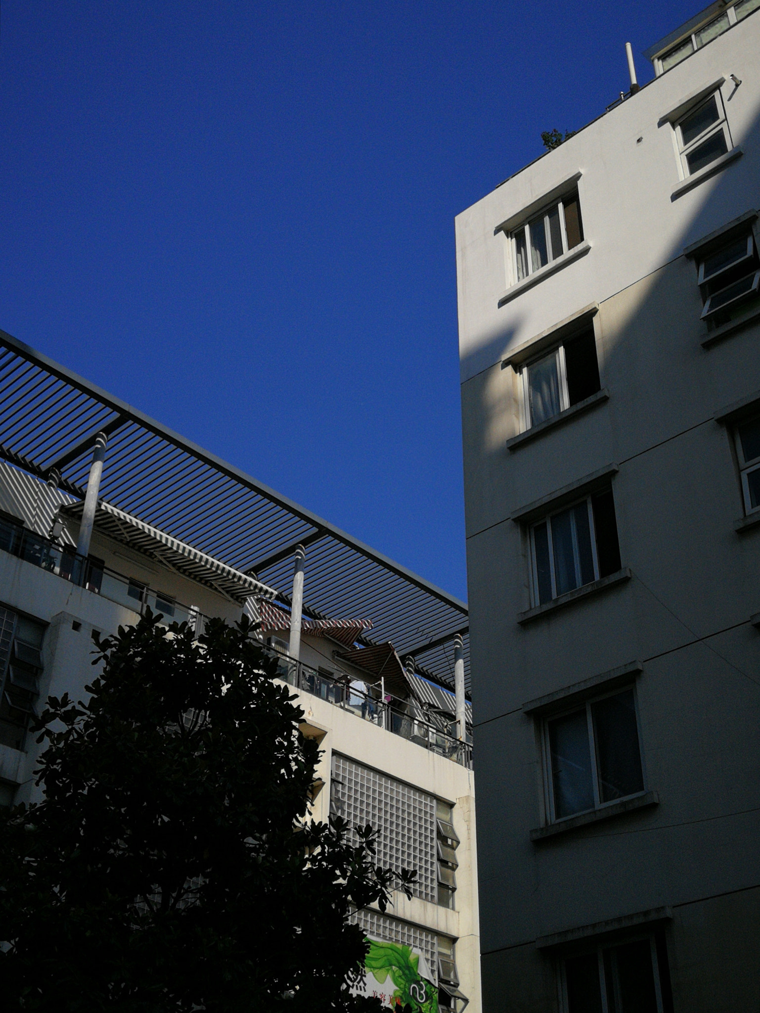 HUAWEI P10 Plus sample photo. 随拍 photography