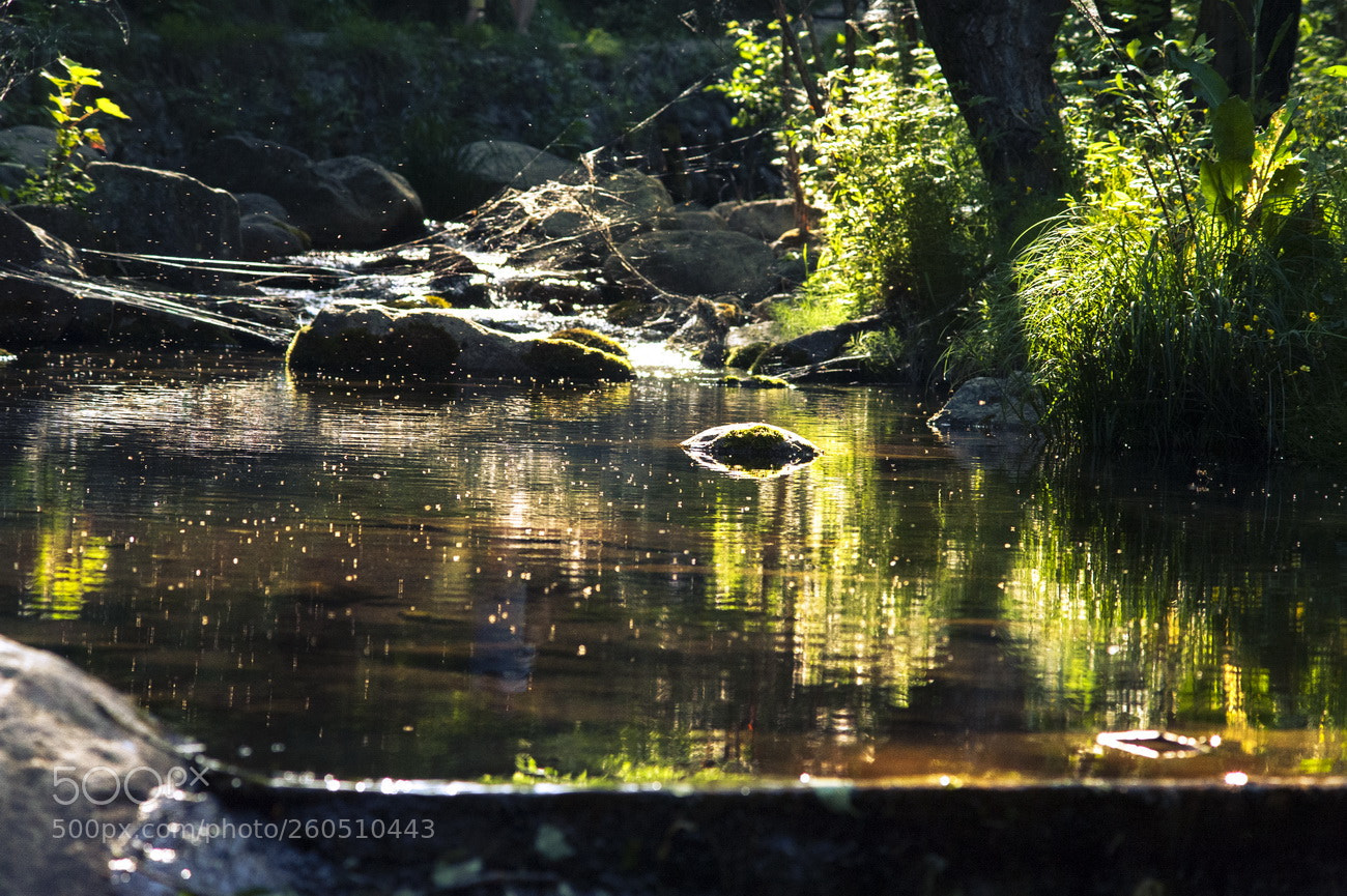 Nikon D700 sample photo. Resize photography
