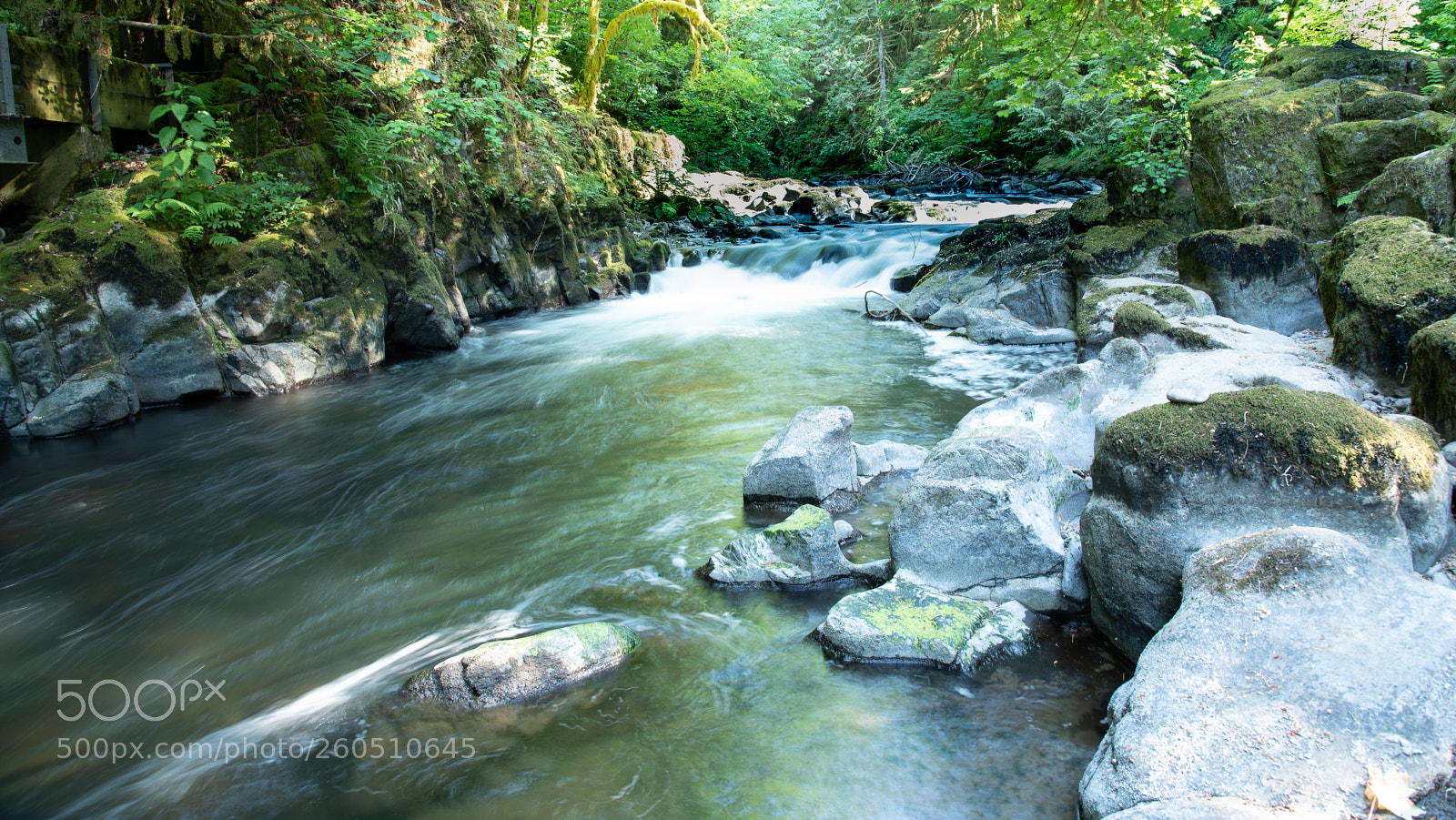 Nikon D750 sample photo. Cedar creek photography