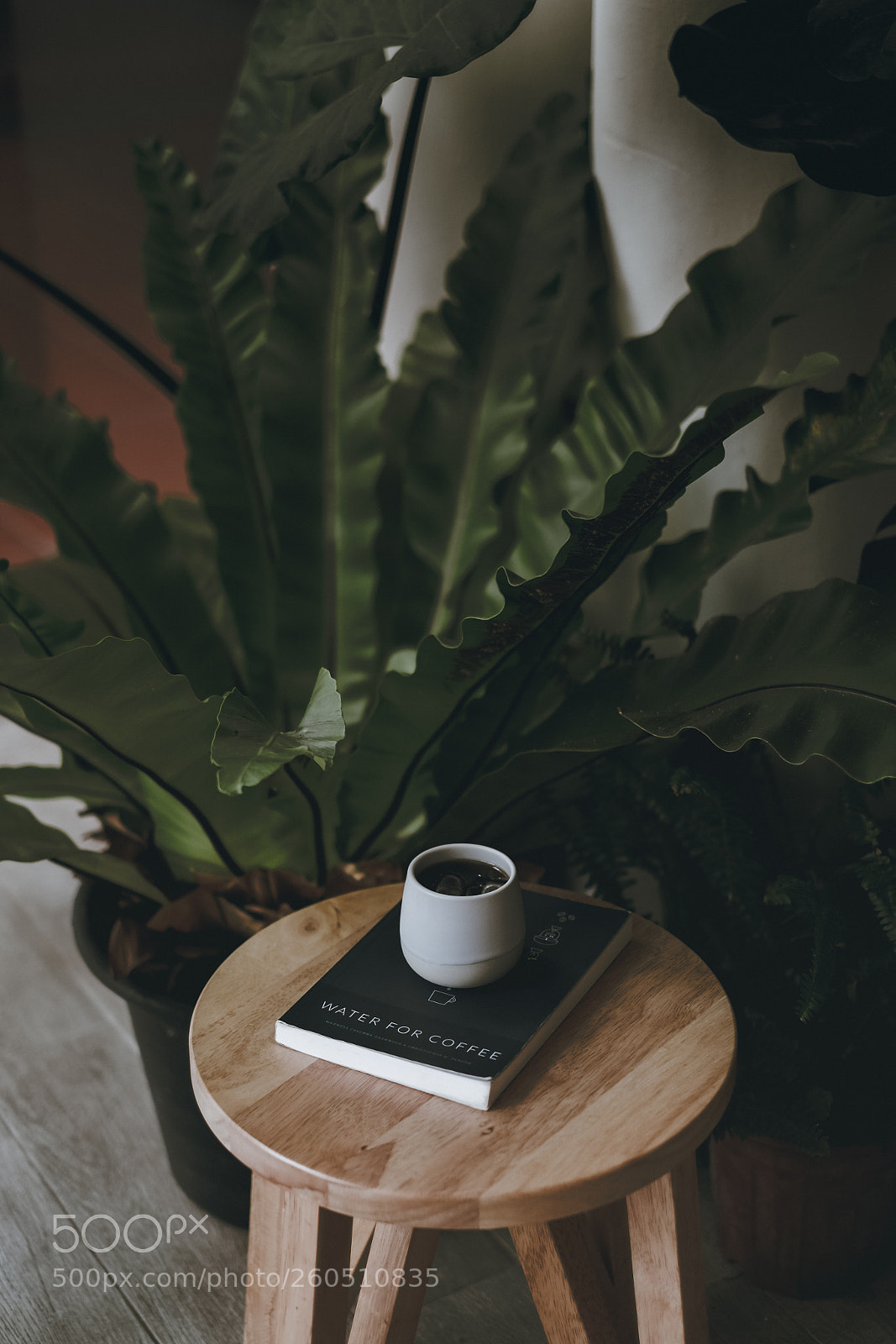 Fujifilm X-T2 sample photo. Each time you break photography