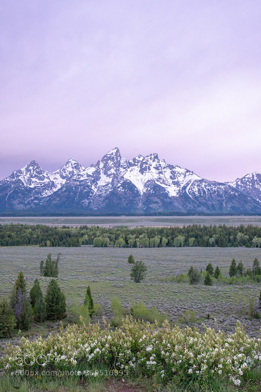 Sony a7R II sample photo. Teton point photography