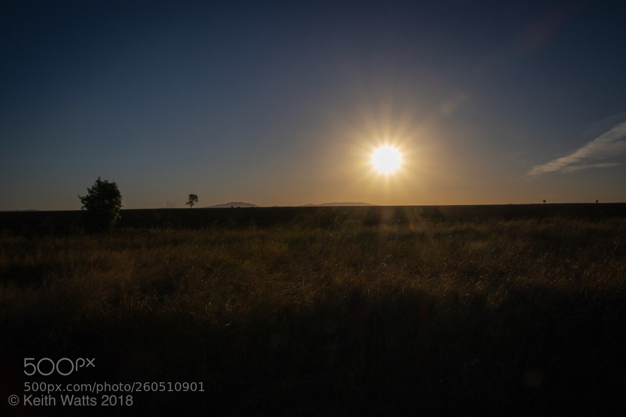 Canon EOS 7D Mark II sample photo. Australian sunset photography