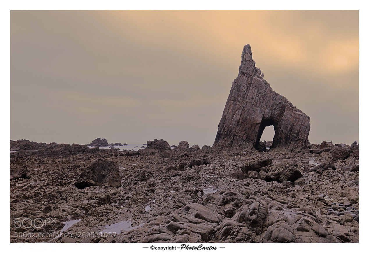 Canon EOS 5D Mark IV sample photo. Campiecho photography