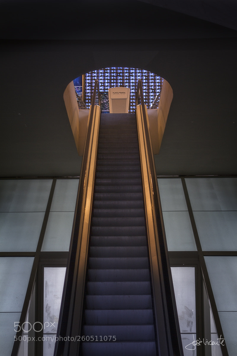 Canon EOS 7D sample photo. Escalera al cielo photography