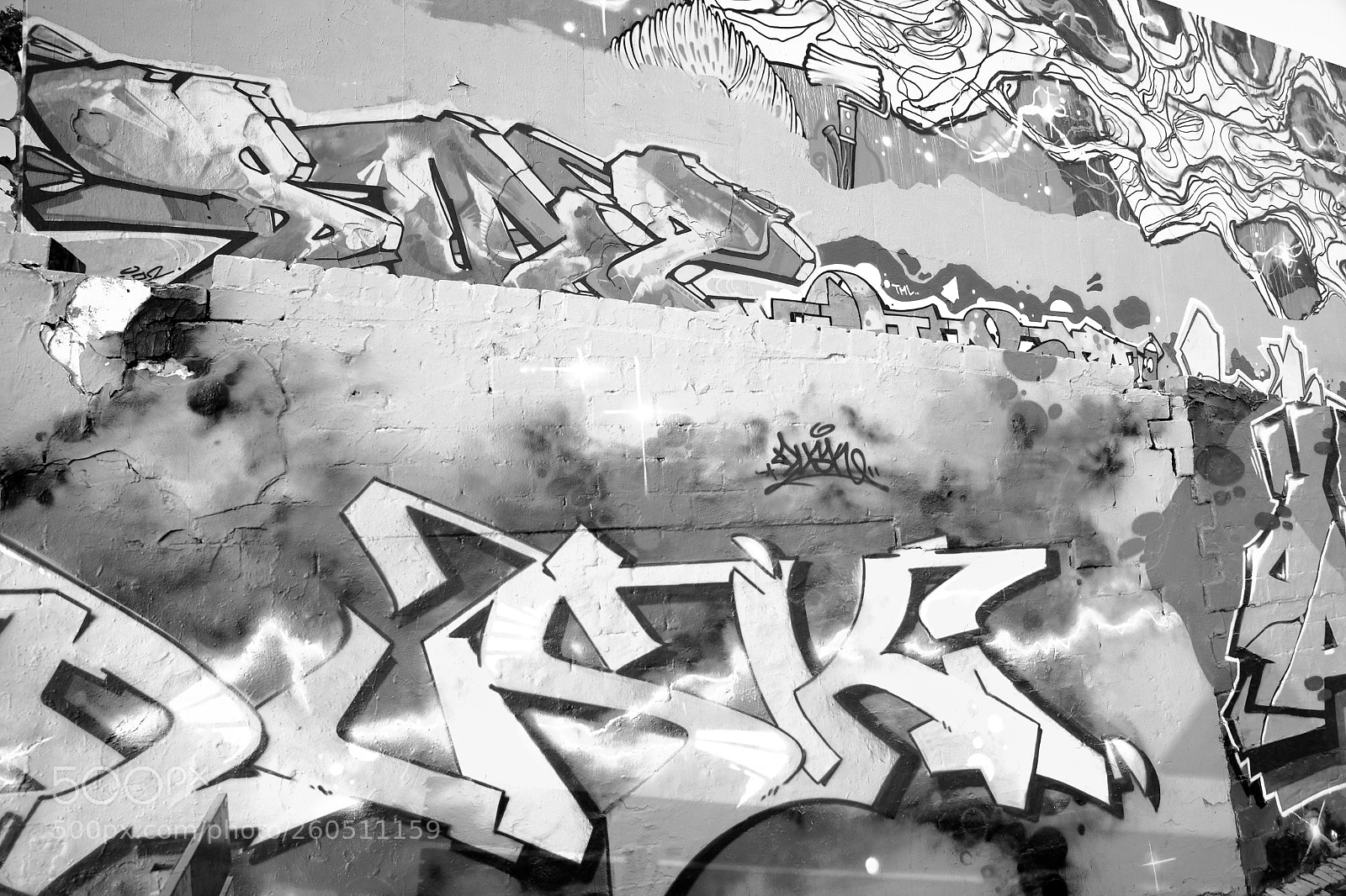 Canon EOS 5D Mark II sample photo. Black&white graffity photography