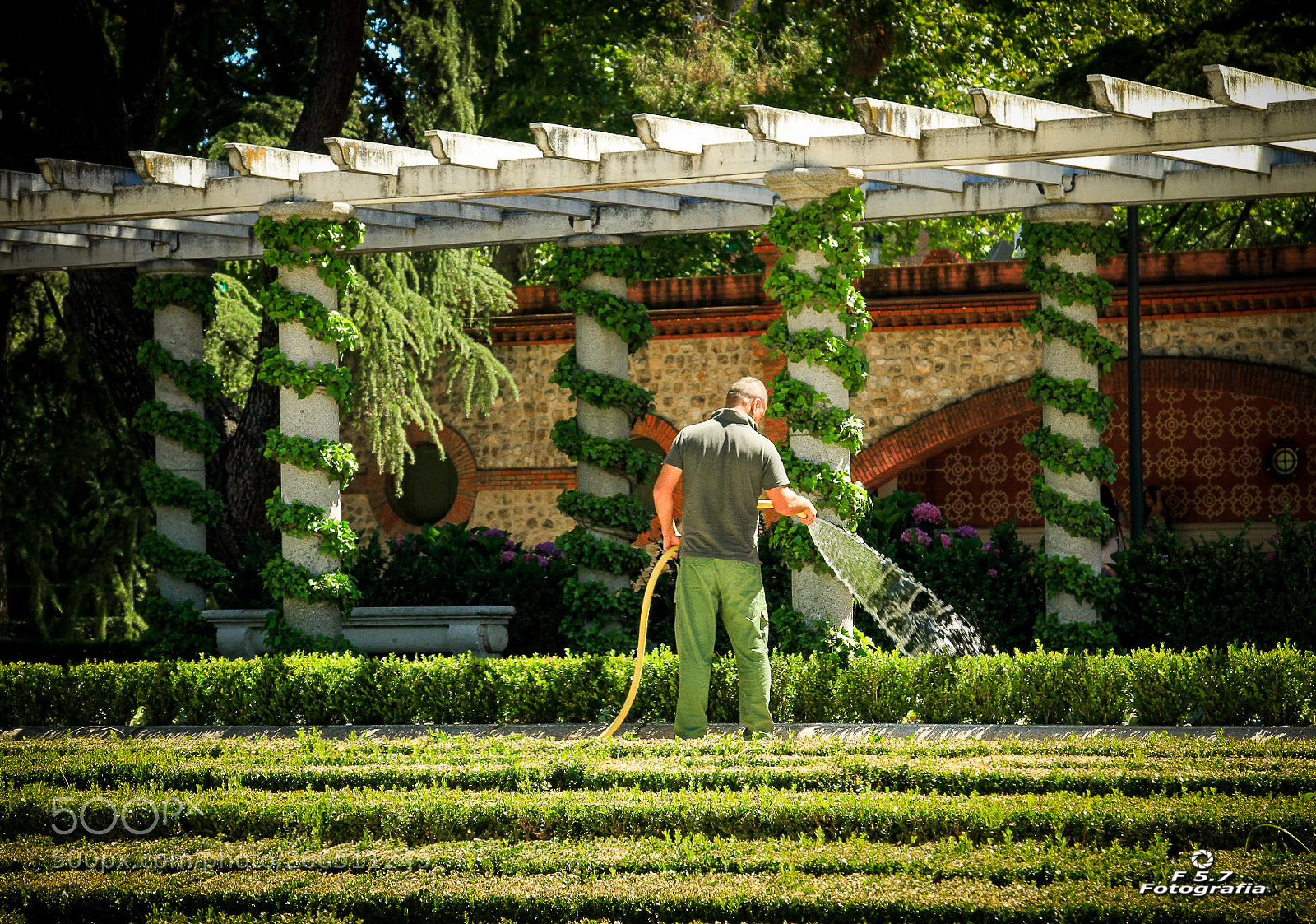Canon EOS 7D sample photo. Parque del retiro photography