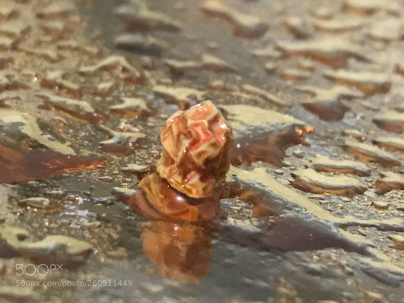 Apple iPhone 7 Plus sample photo. Untitled photography