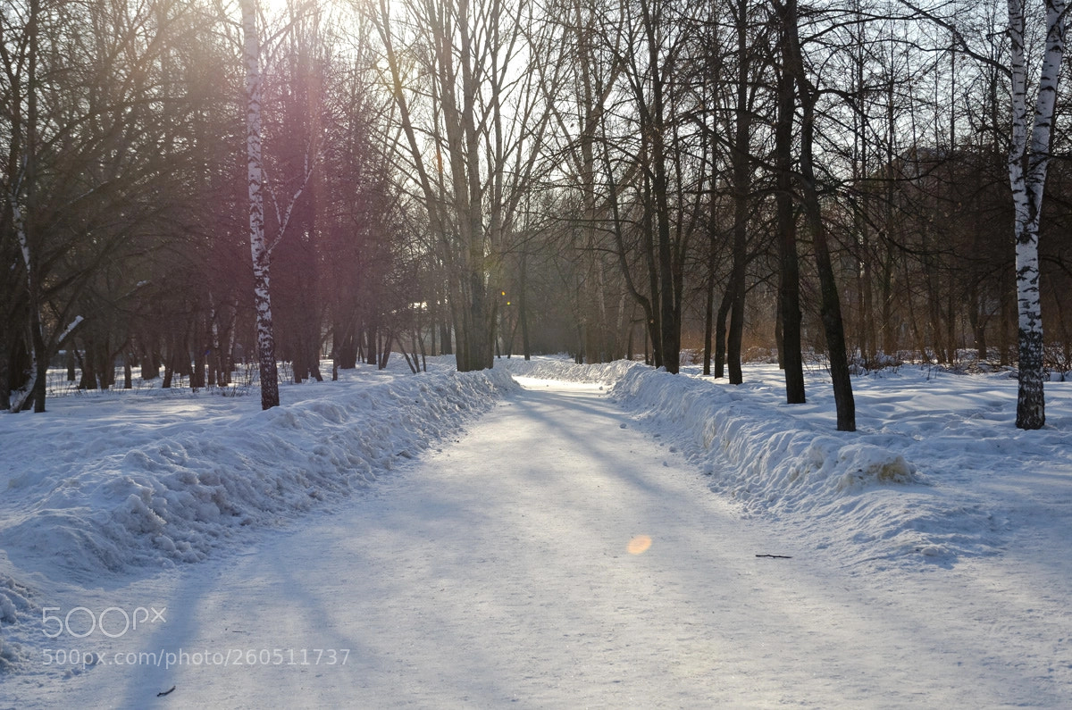 Nikon D7000 sample photo. Утро photography