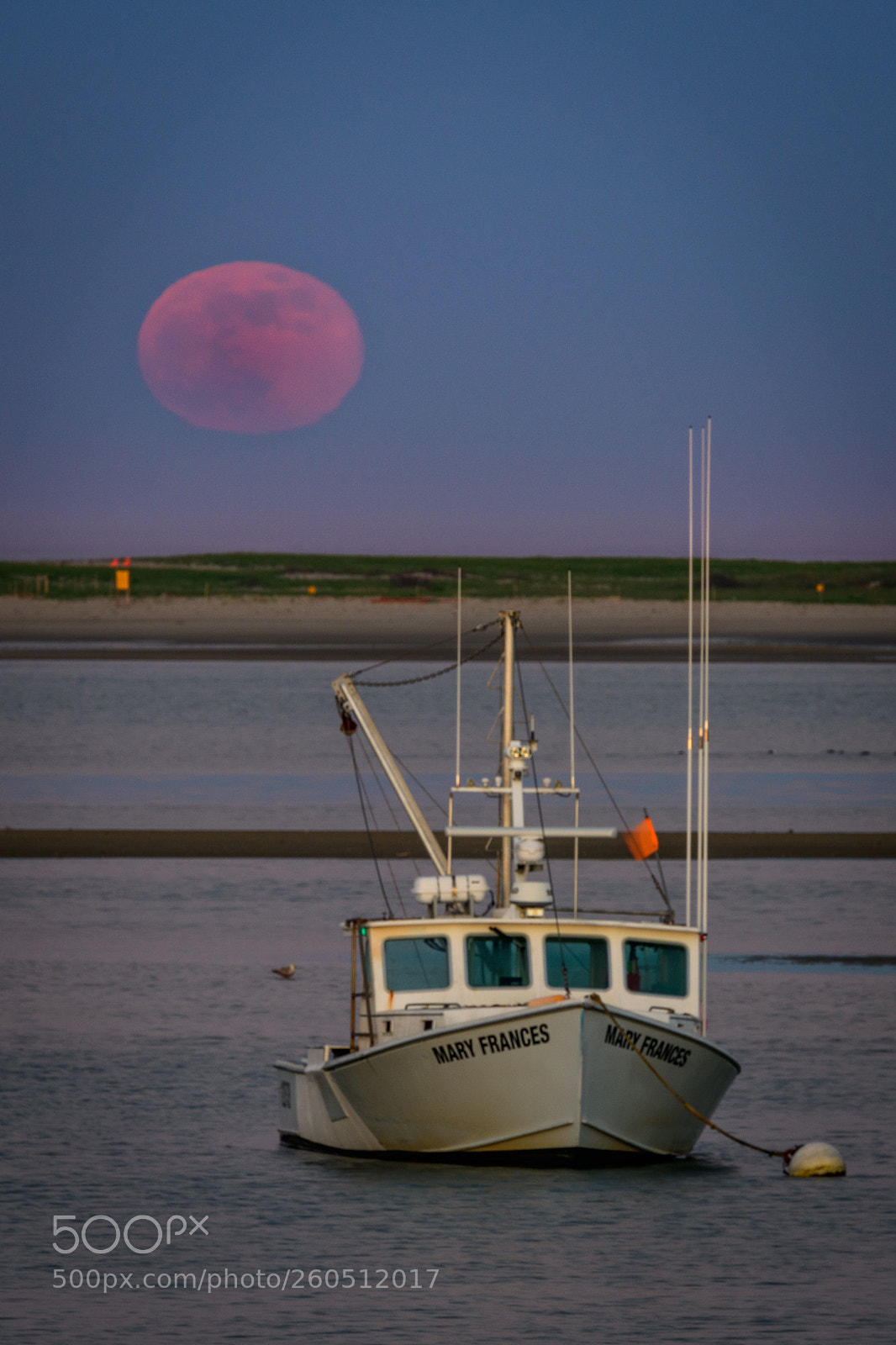 Nikon D850 sample photo. Full moon rises at photography