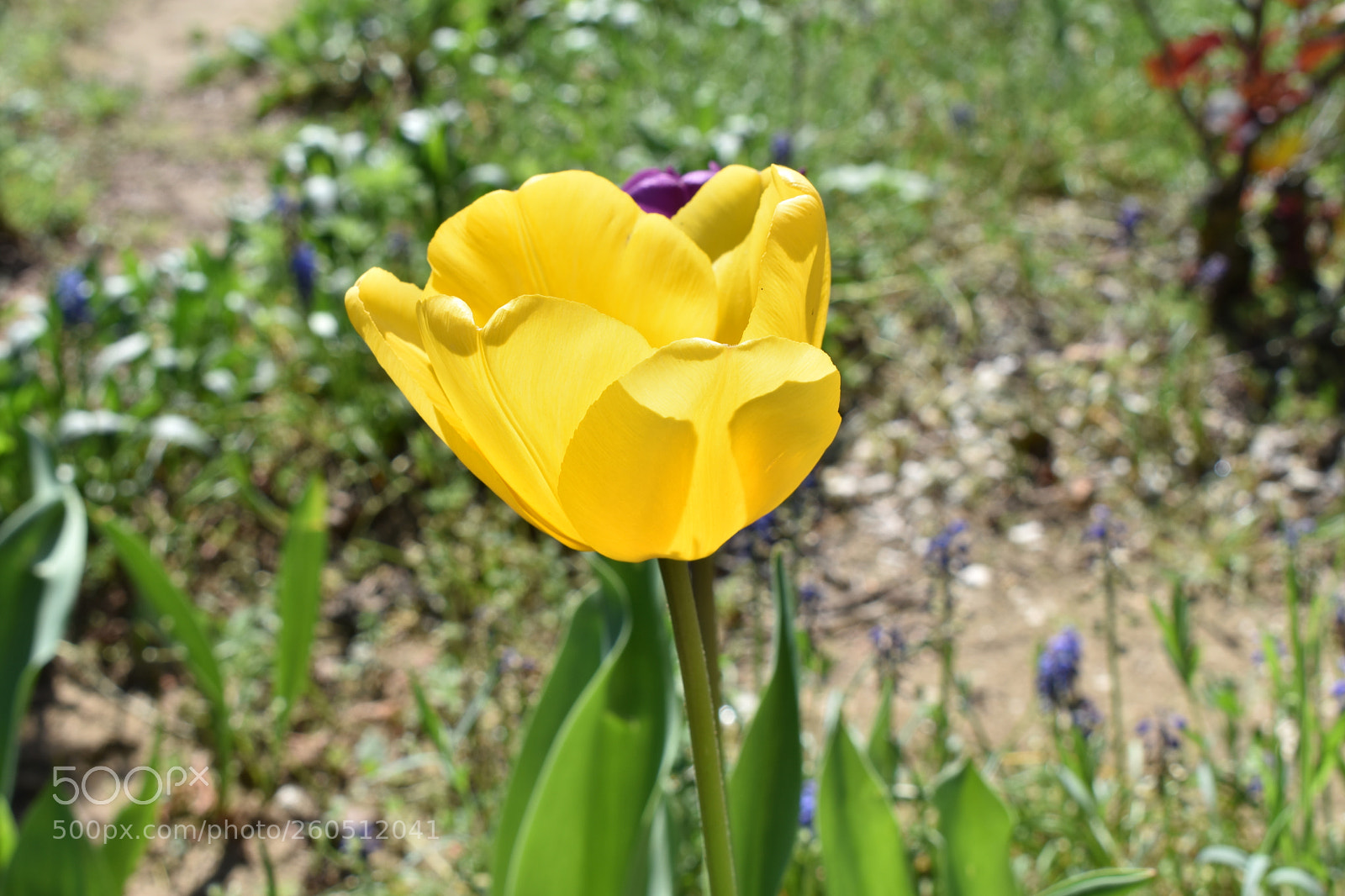 Nikon D3400 sample photo. Dsc photography