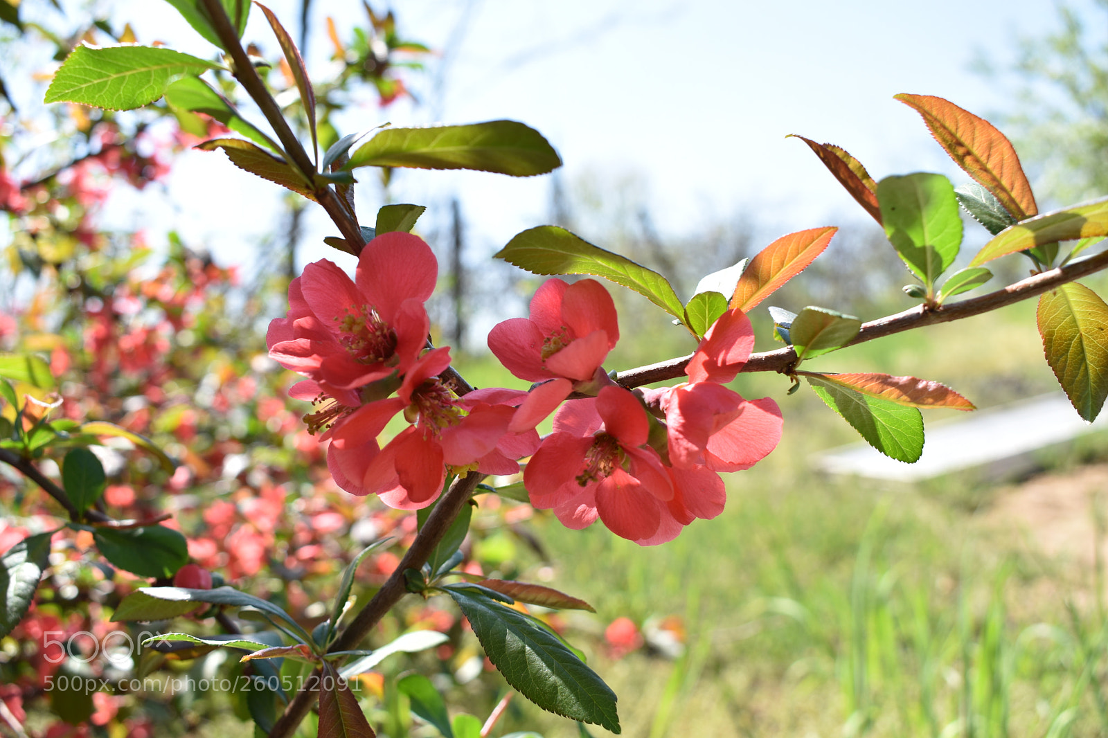 Nikon D3400 sample photo. Dsc photography