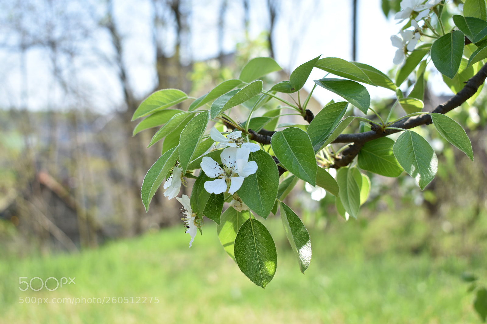 Nikon D3400 sample photo. Dsc photography