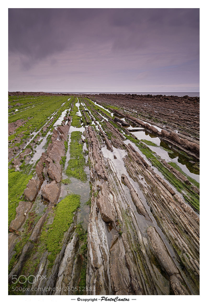 Canon EOS 5D Mark IV sample photo. Las rocas del flysch photography