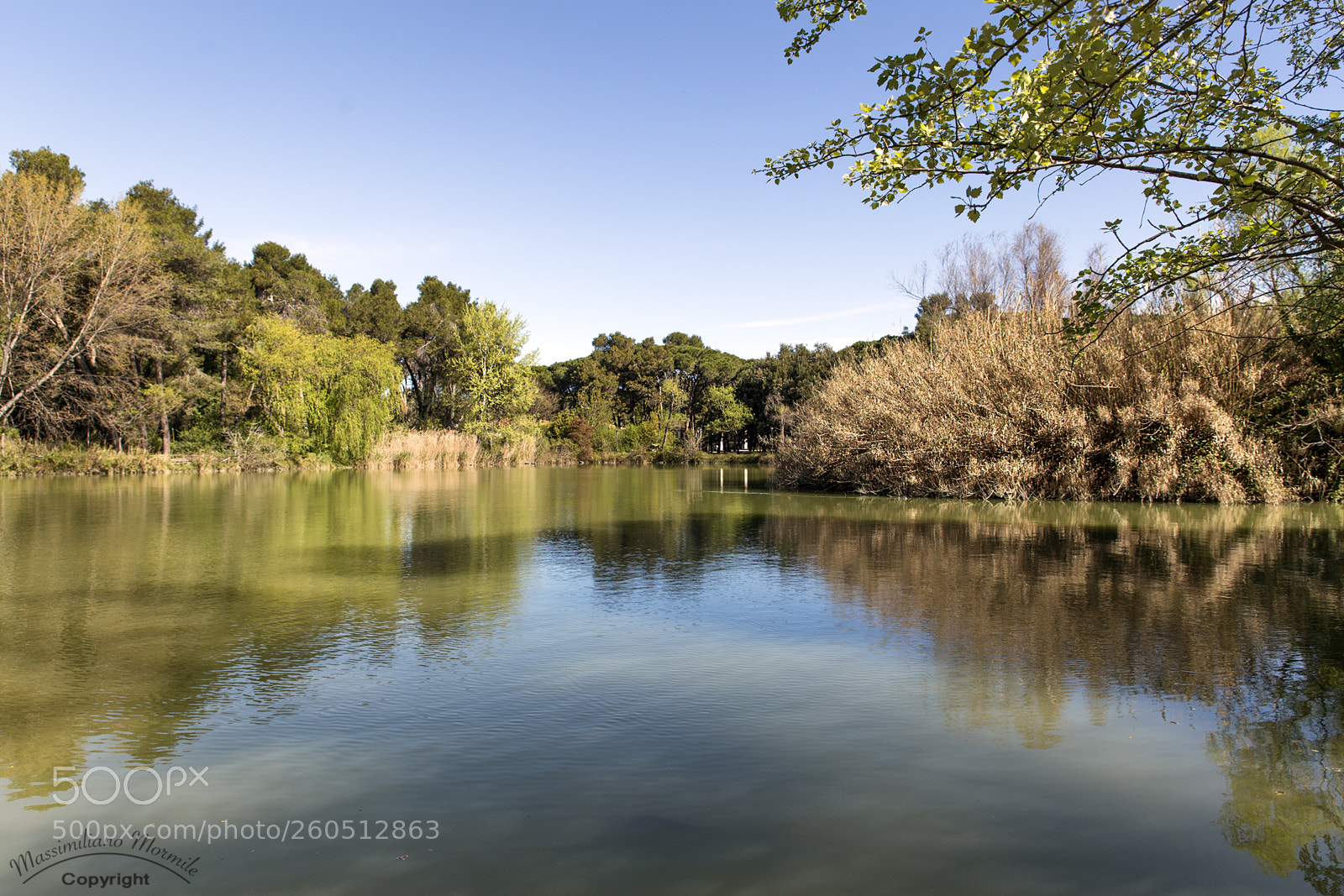 Canon EOS 6D sample photo. Parco d'avalos photography