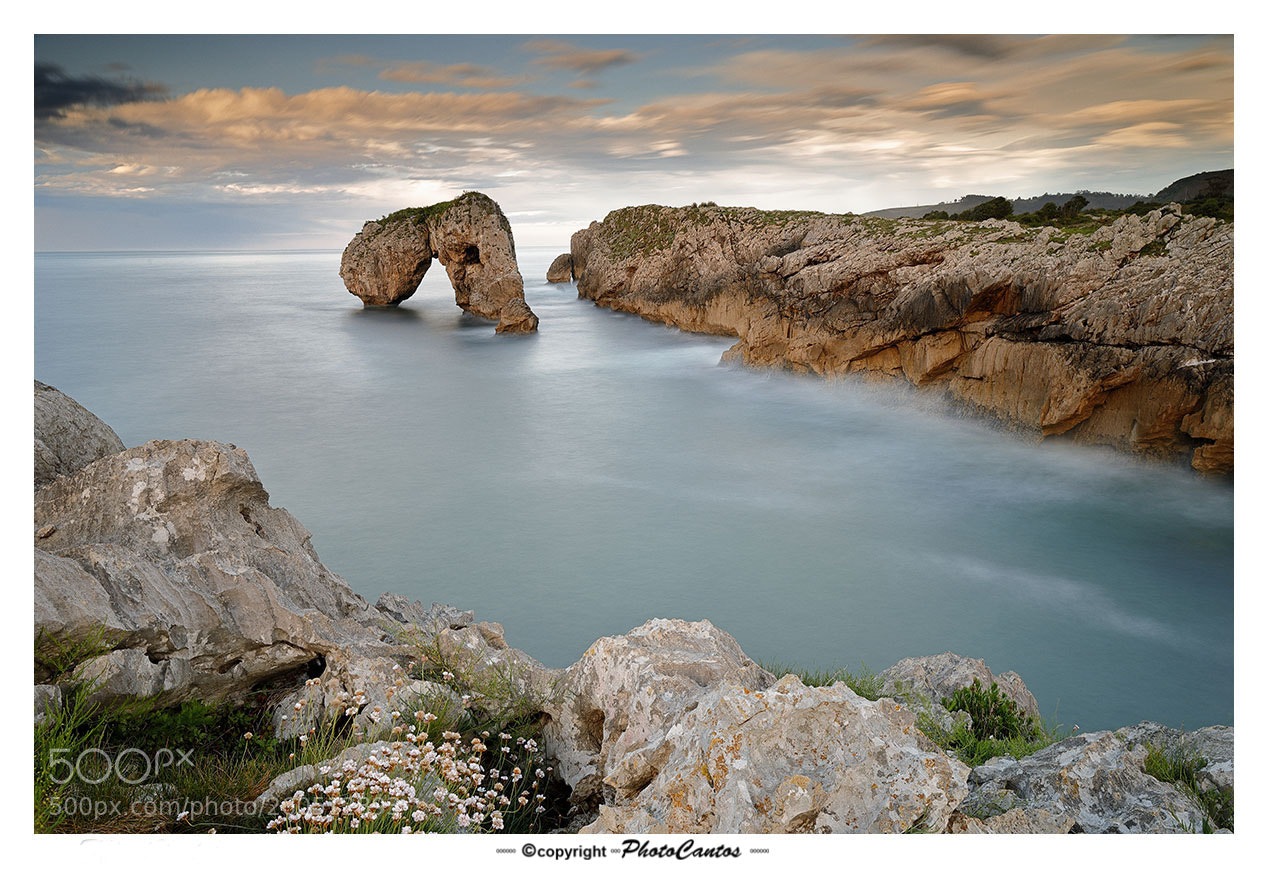 Canon EOS 5D Mark IV sample photo. Castro de las gaviotas photography