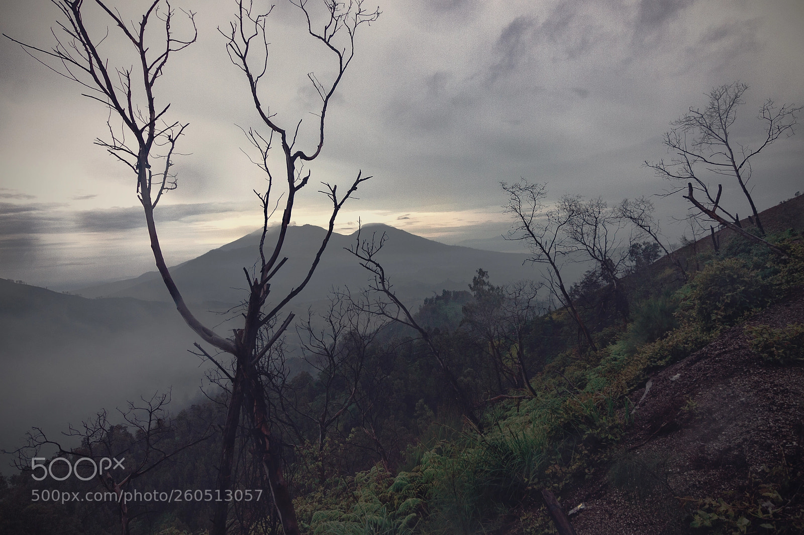 Canon EOS 1100D (EOS Rebel T3 / EOS Kiss X50) sample photo. Misty mountains photography