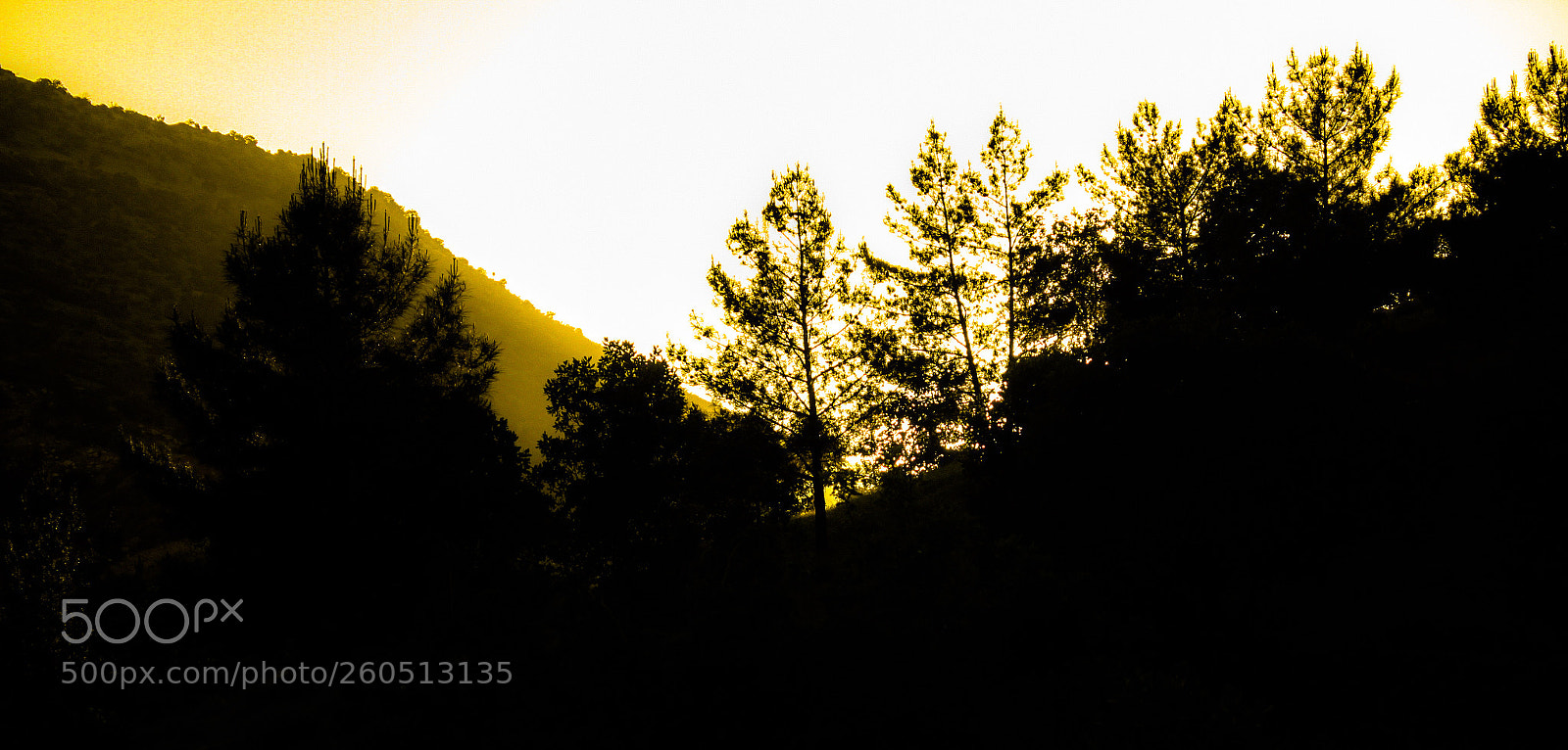 Canon EOS 7D sample photo. Untitled photography