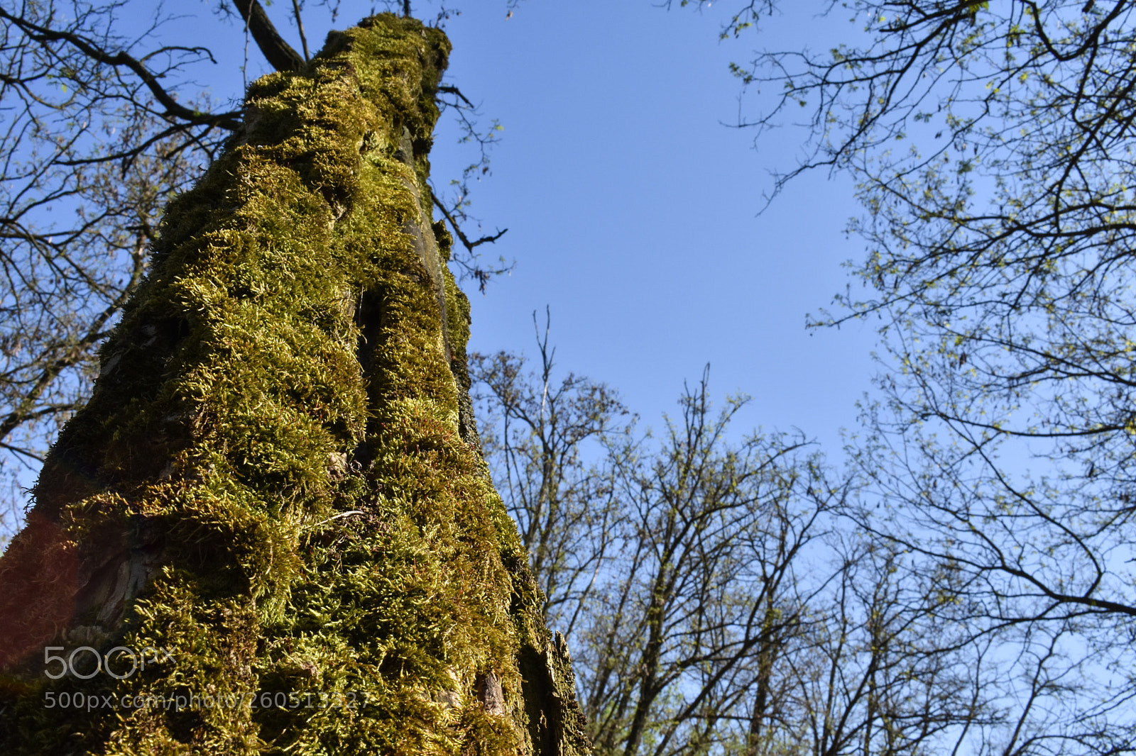 Nikon D3400 sample photo. Nikon d3400 + 18-55mm photography