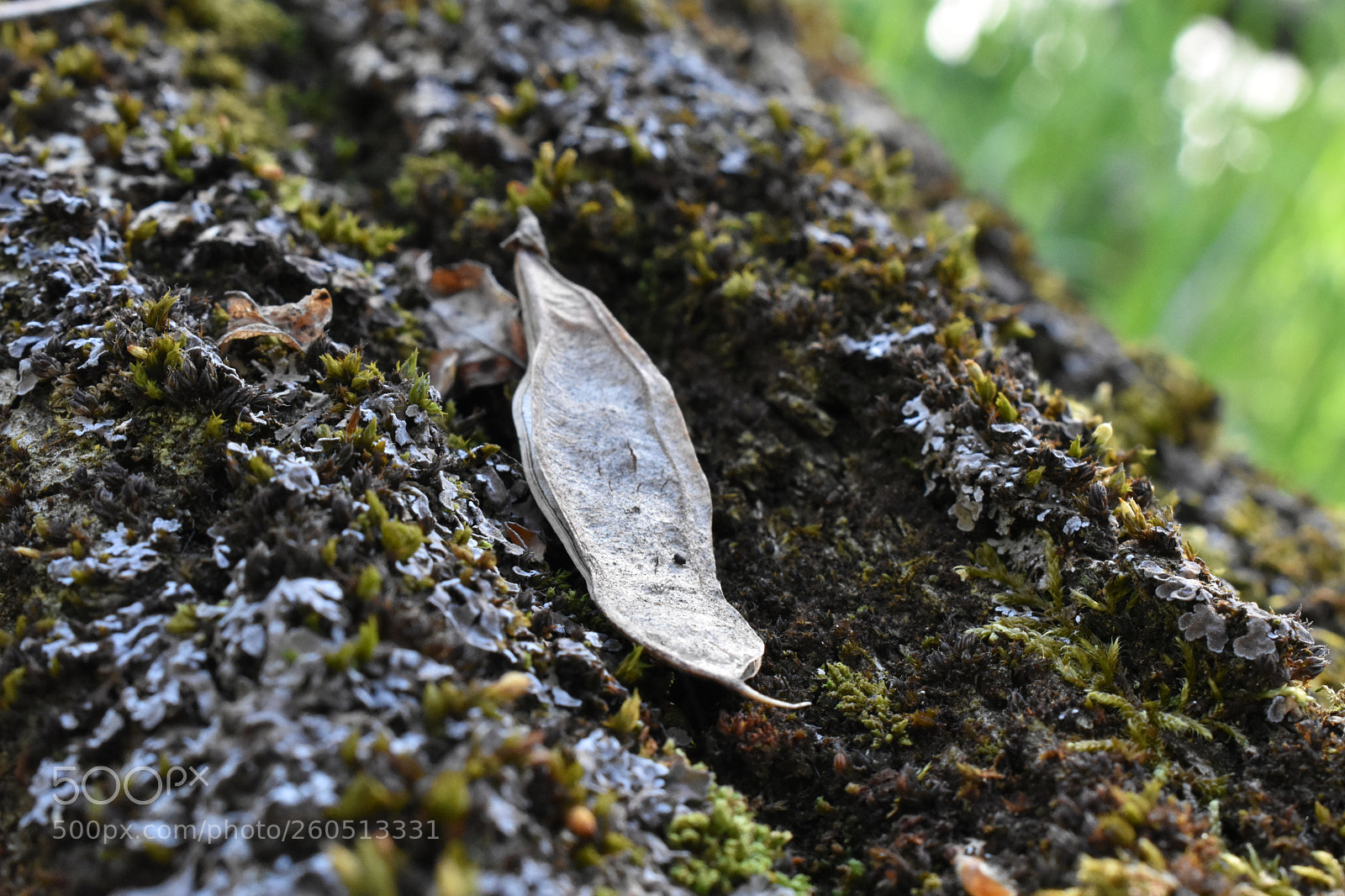 Nikon D3400 sample photo. Nikon d3400 + 18-55mm photography
