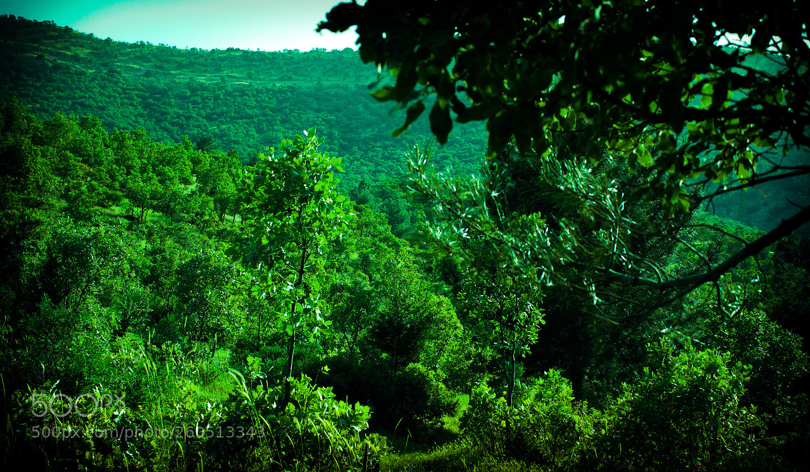 Canon EOS 7D sample photo. Untitled photography