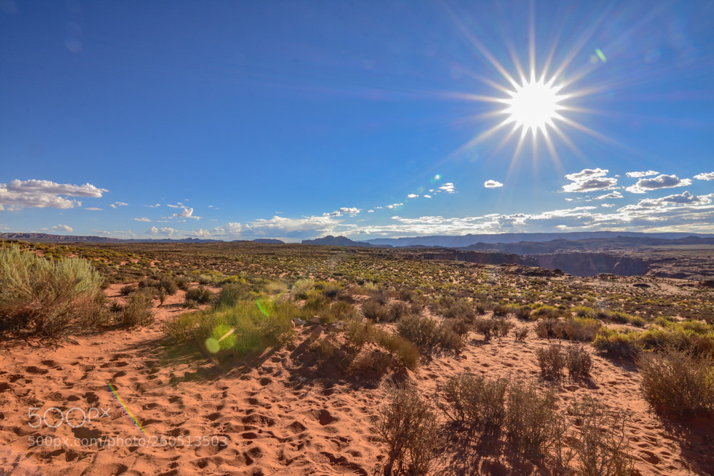 Nikon D7200 sample photo. American nature photography
