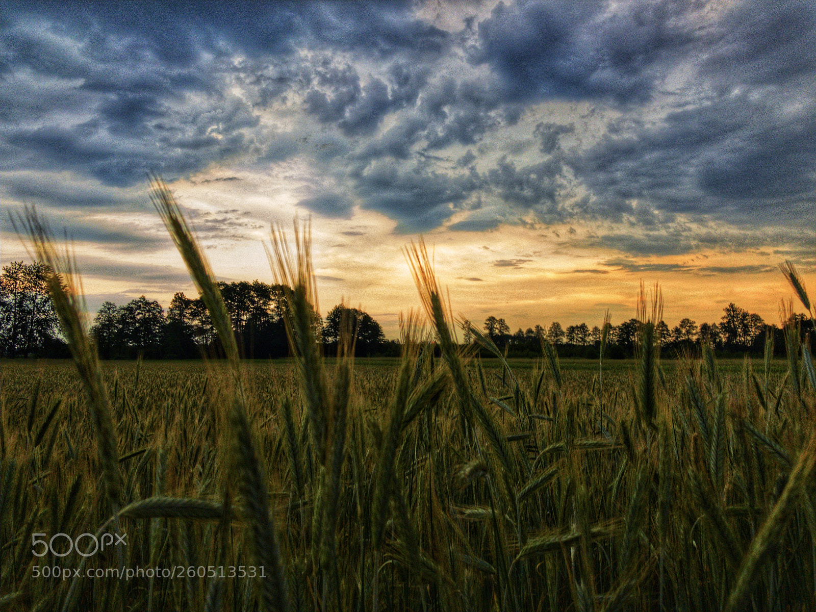 Apple iPhone X sample photo. Sunset on a field photography
