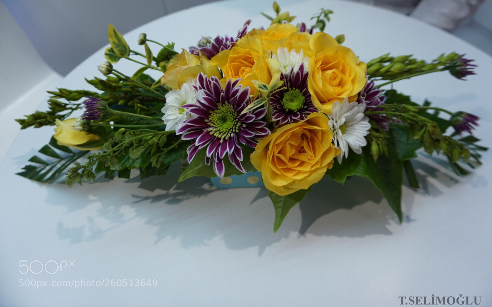 Sony a6000 sample photo. Spring photography