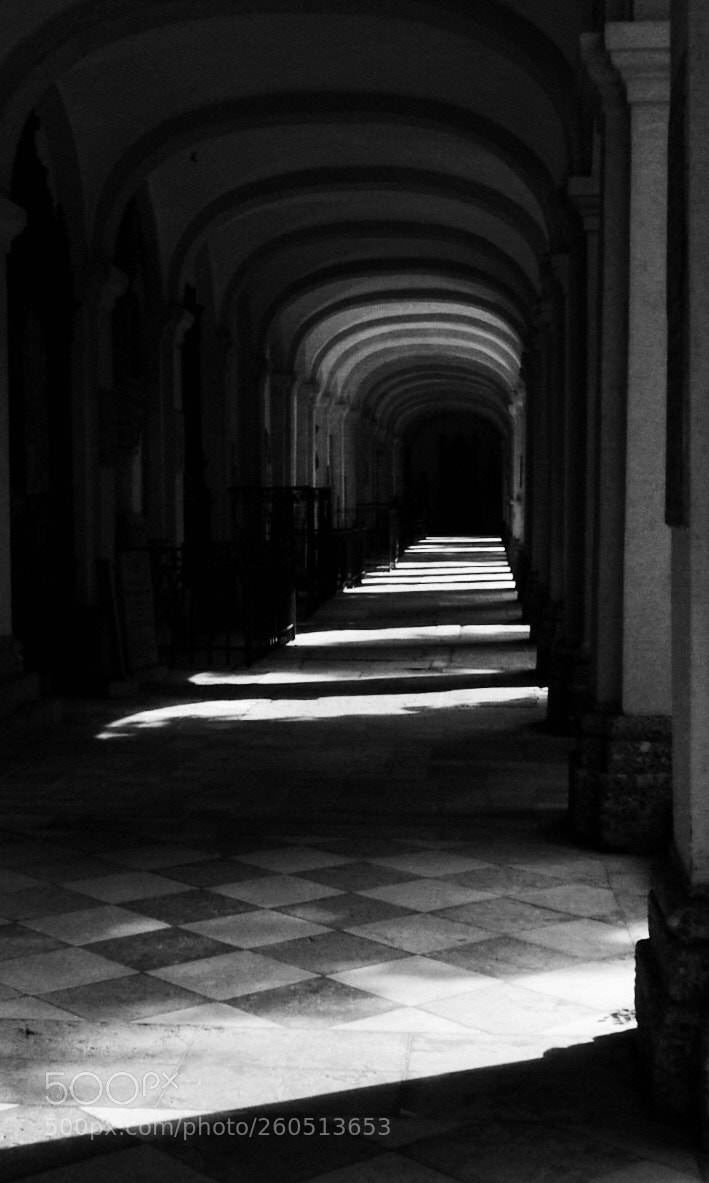 Olympus OM-D E-M5 II sample photo. Untitled photography