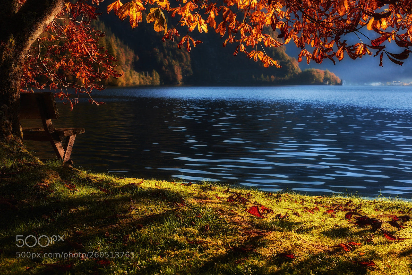 Nikon D810 sample photo. Autumn dreams photography