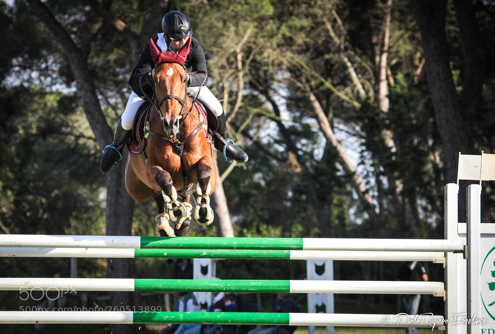 Canon EOS 5D Mark II sample photo. Horses photography