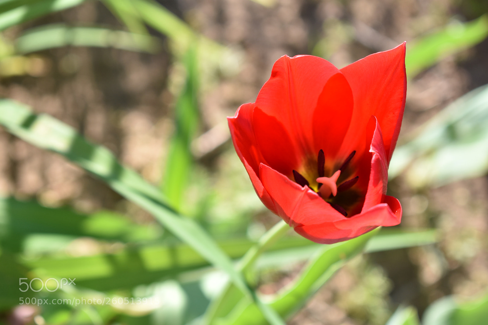 Nikon D3400 sample photo. Nikon d3400 + 18-55mm photography