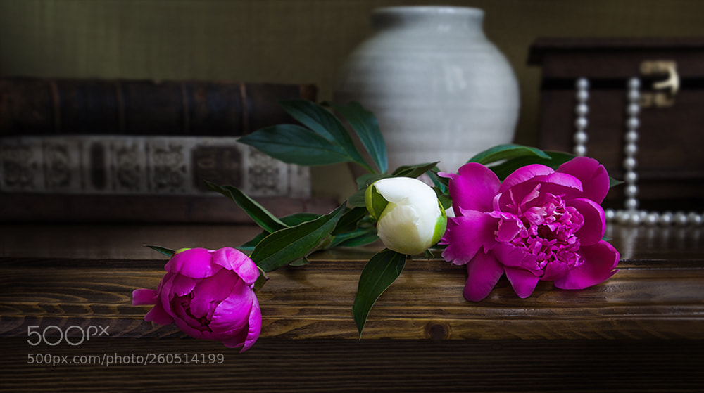 Nikon D7000 sample photo. Peonies. Пионы. photography
